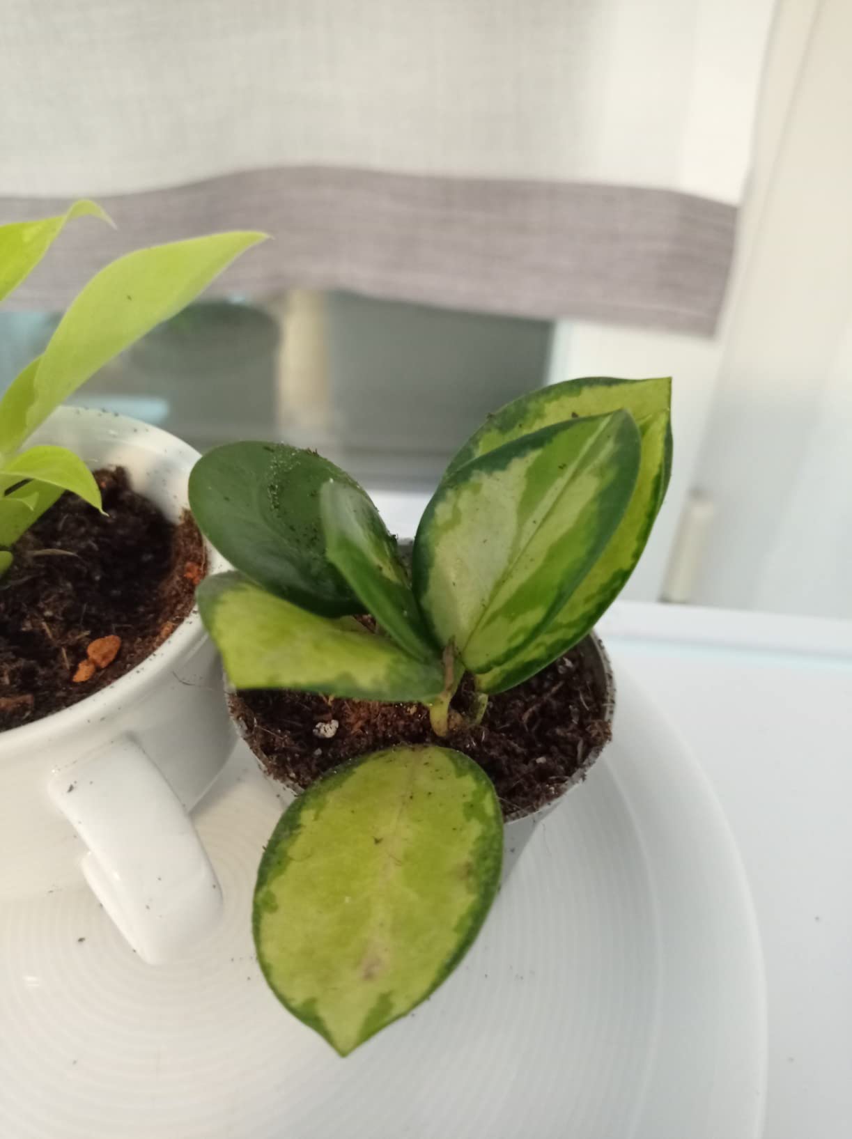 Gesund angekommen