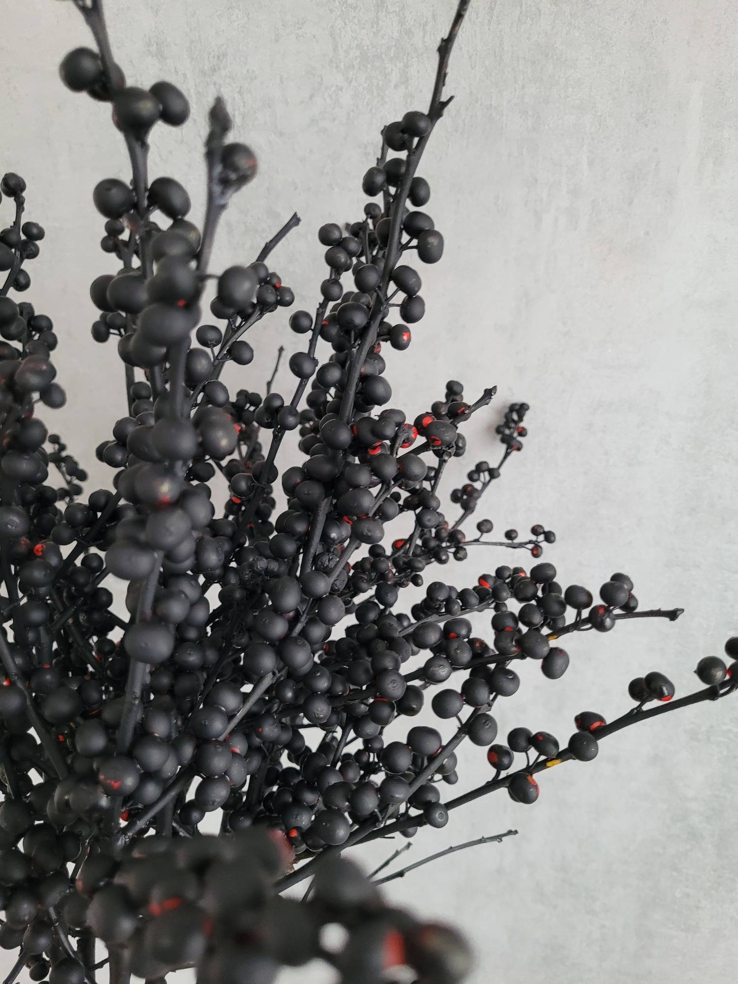 blumigo-zweige-ilex-painted-deko-zweige-schwarz image 2