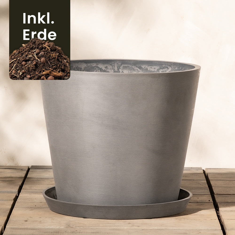 feey-amsterdam-kunststoff-pflanzk-bel-40-cm-taupe-28-l image 6
