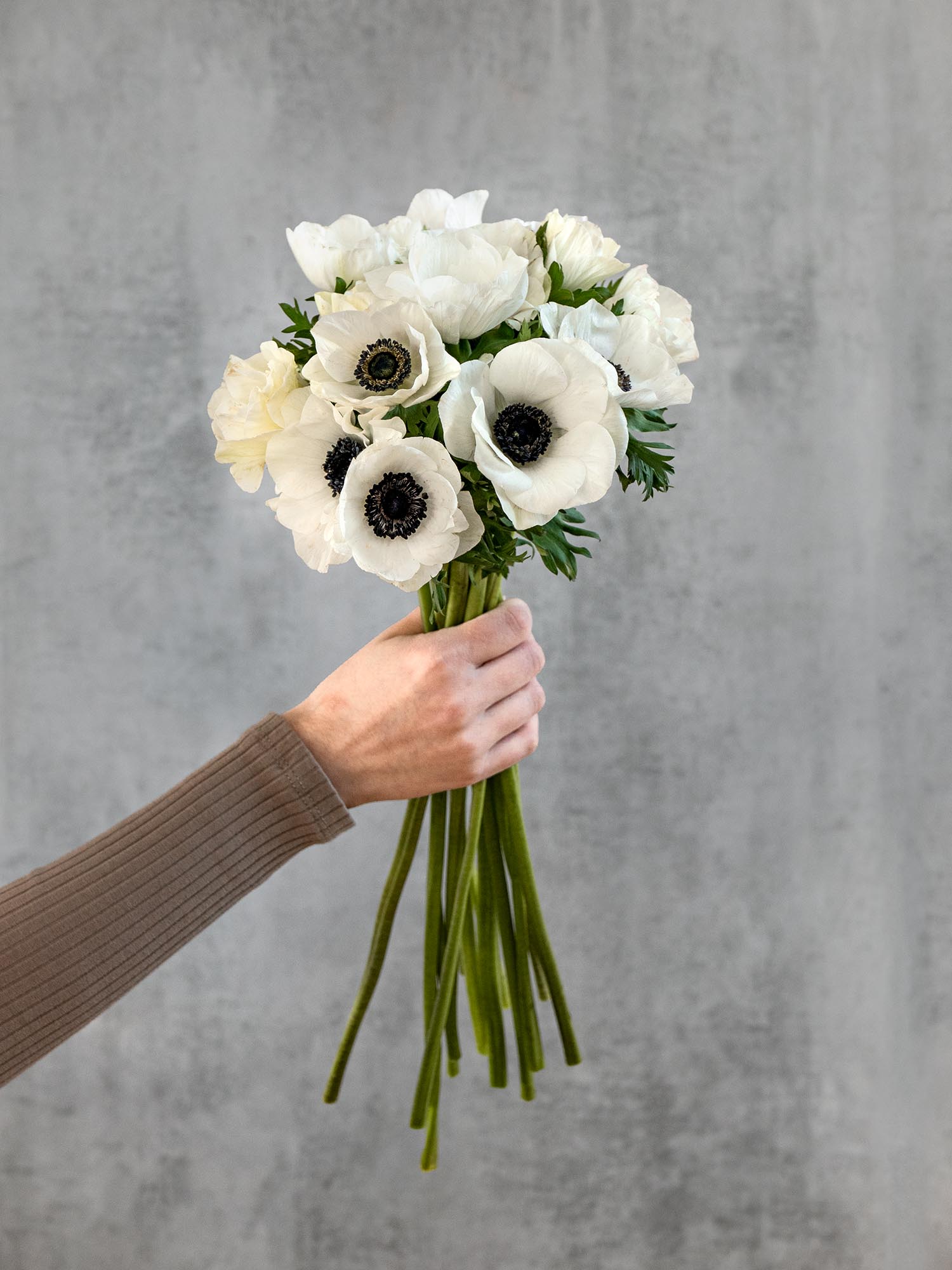 blumigo-anemonen-schnittblumen-wei-frisch image 4