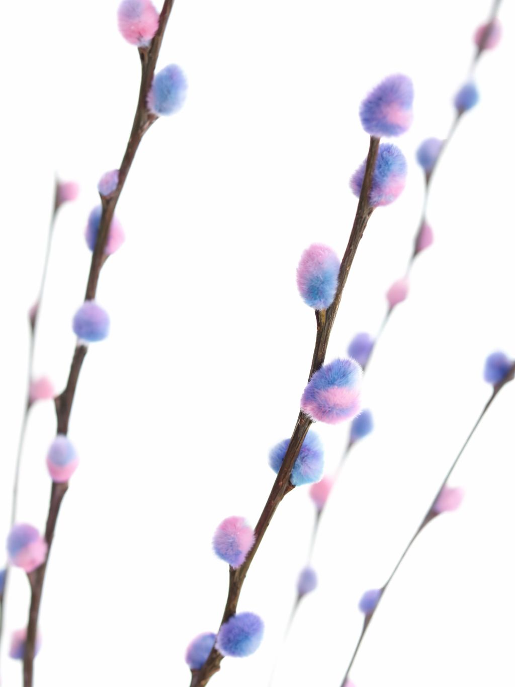 blumigo-zweige-weidenk-tzchen-bubblegum-blau-violett image 4