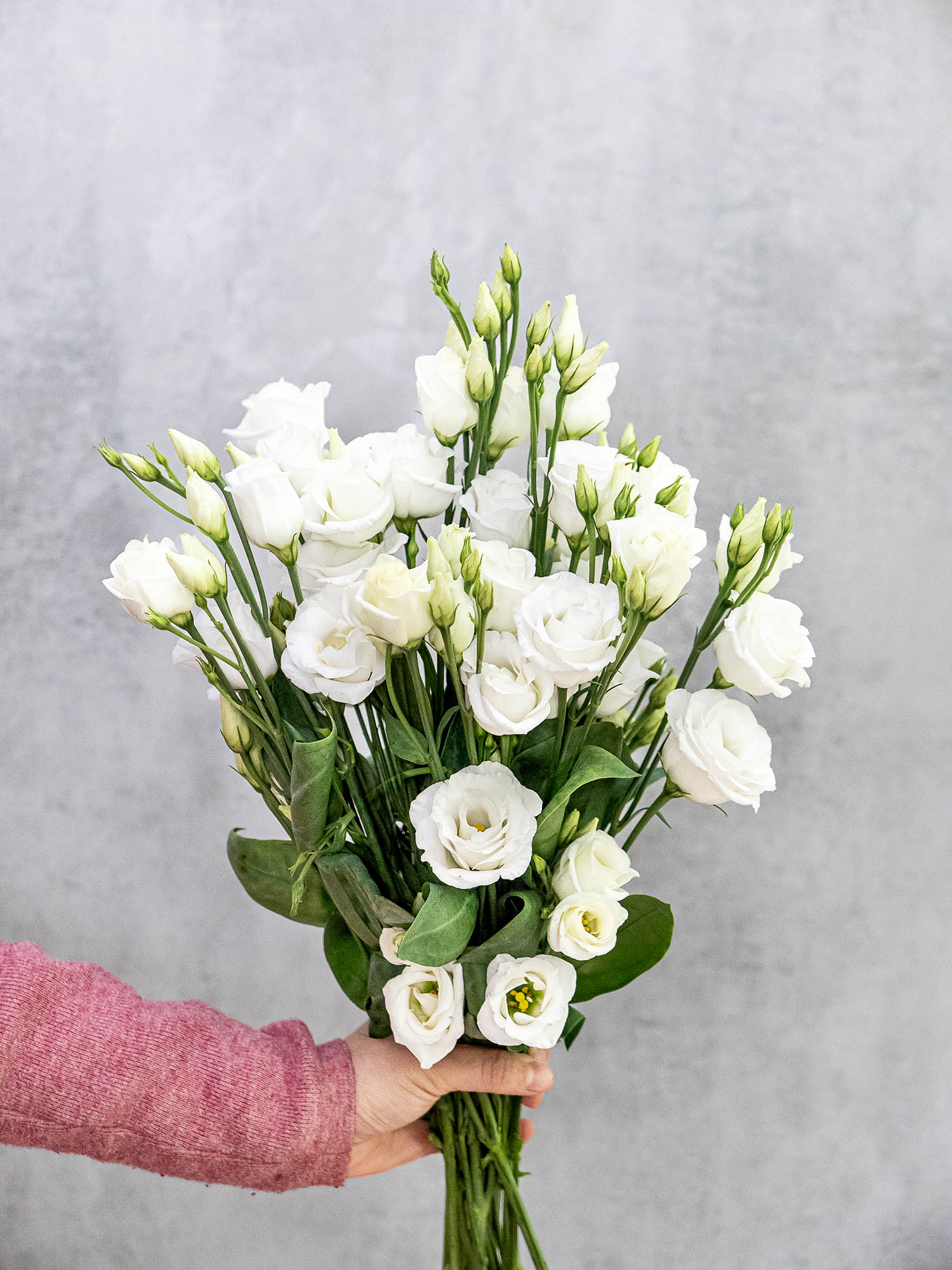 blumigo-lisianthus-rosita-white-schnittblume-wei-rosenartig image 3