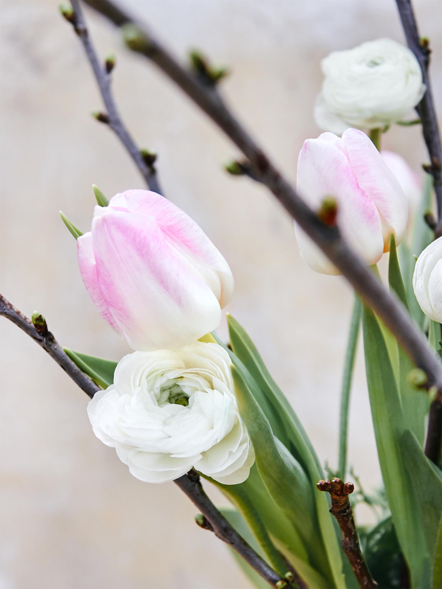 blumigo-berraschungsmixe-sweet-dream-bouquet-blumen image 3