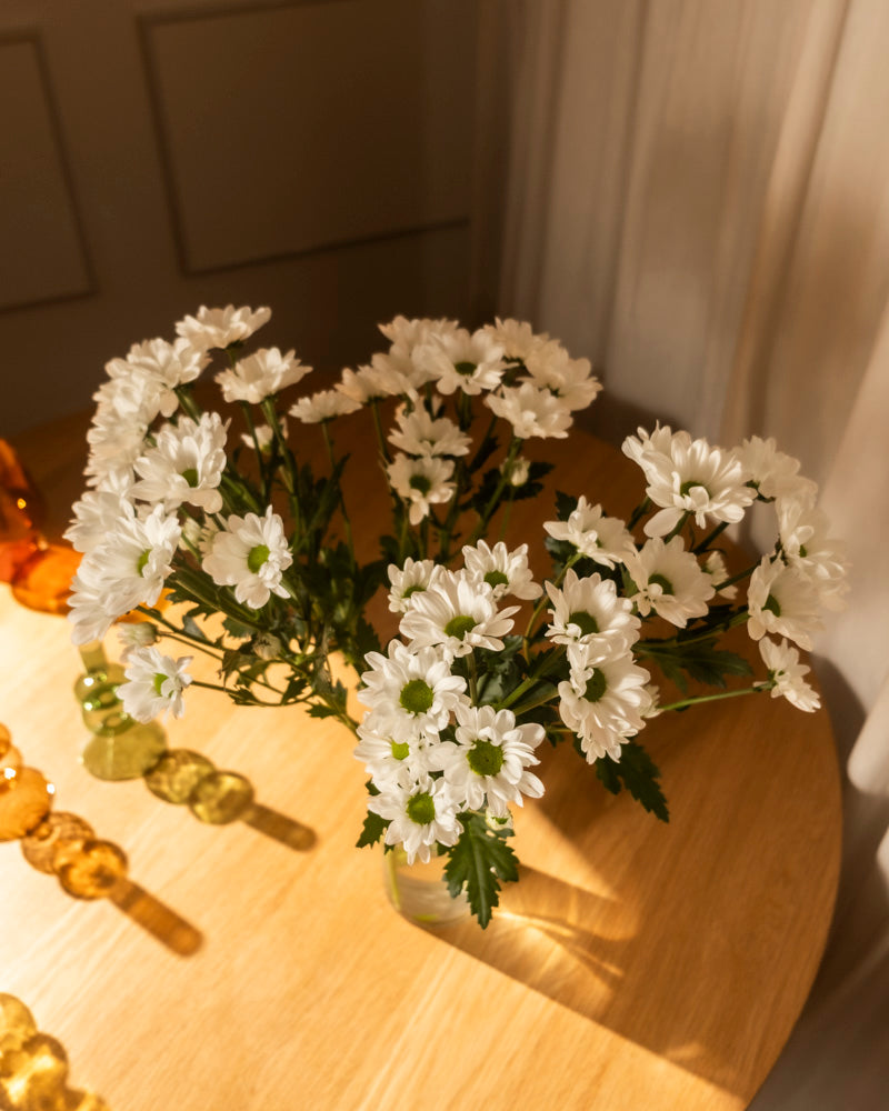 feey-rilio-chrysanthemen-weiss-schnittblumen-weiss image 2