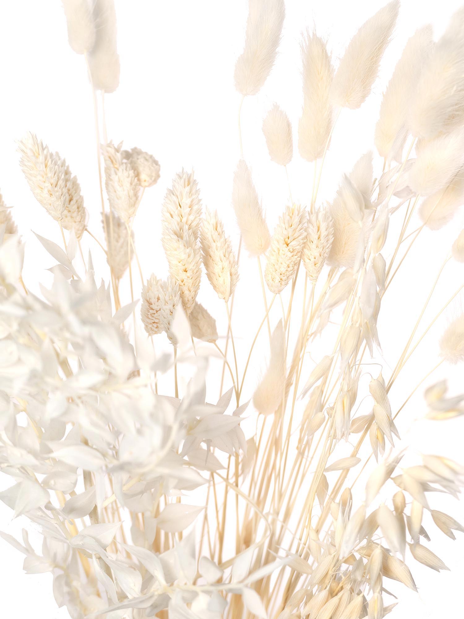 blumigo-trockenblumen-bleached-mix-trockenblumen-gebleicht image 1