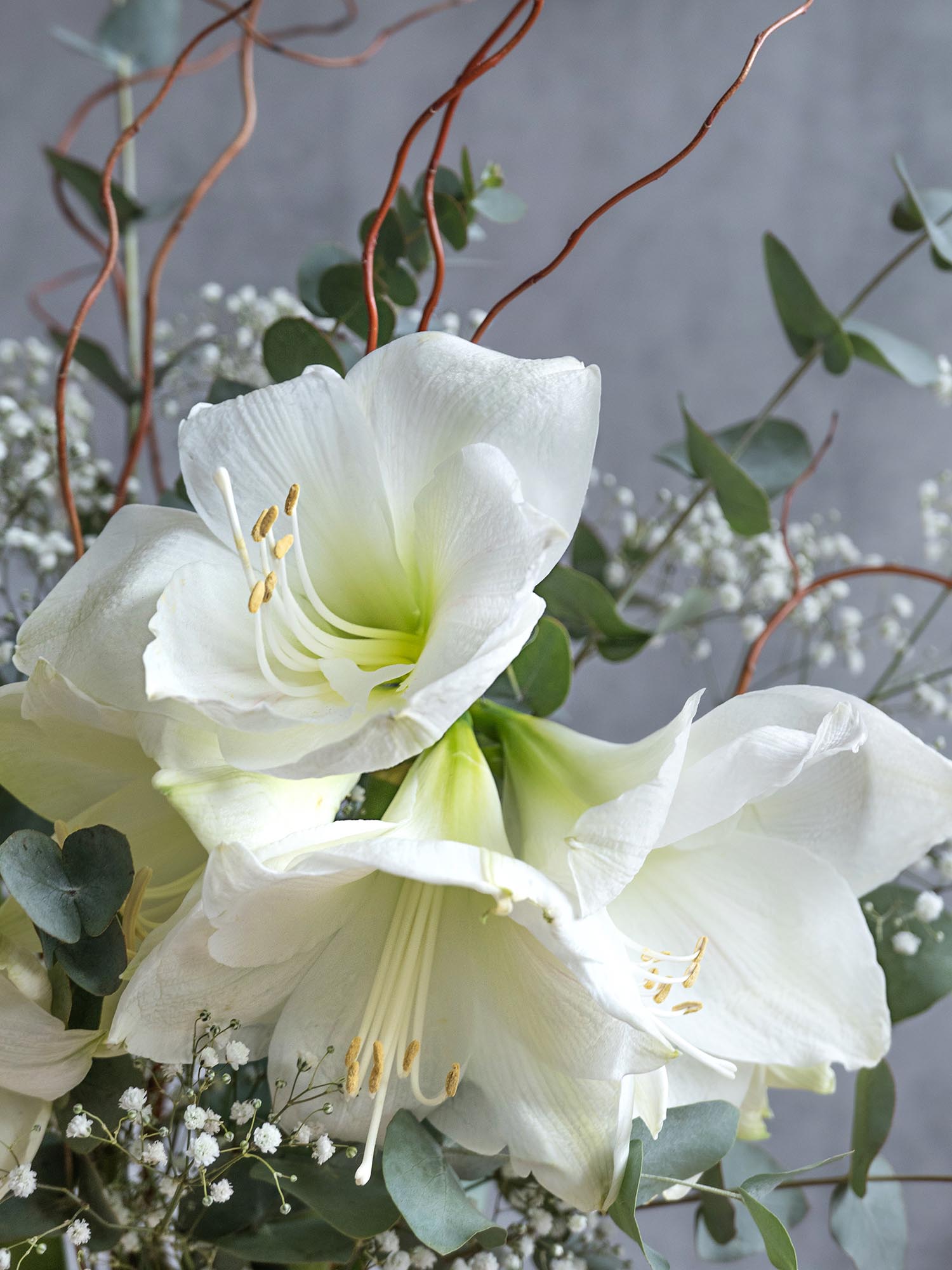blumigo-berraschungsmix-white-winter-bouquet-wei-er-winterstrau image 4