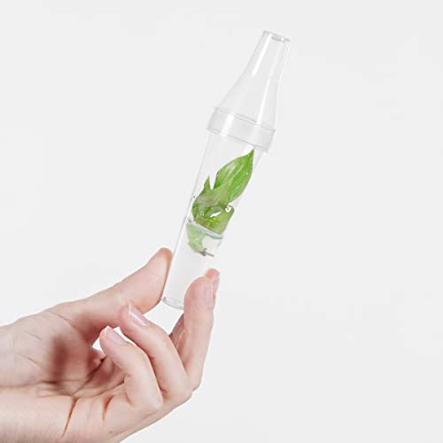 plnts-babyplnts-philodendron-mcdowell-babypflanze-13cm-luftreinigend image 7