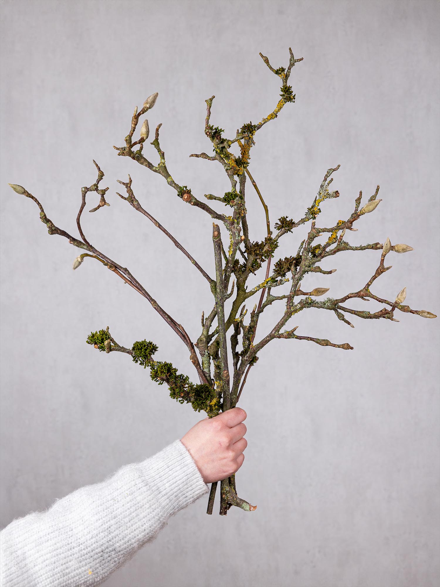 blumigo-zweige-magnolienzweige-bund-rosa-wei image 3