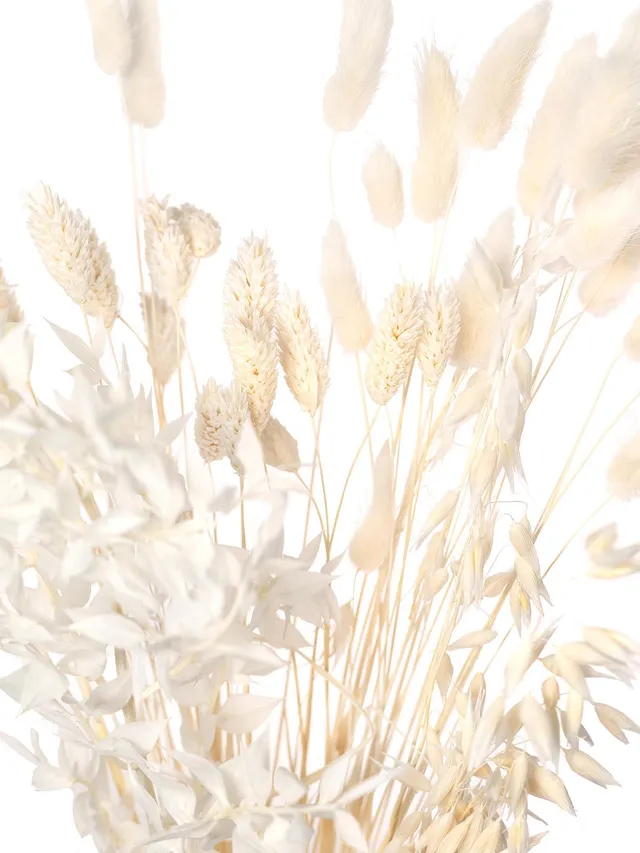 blumigo-trockenblumen-bleached-mix-trockenblumen-gebleicht image 1