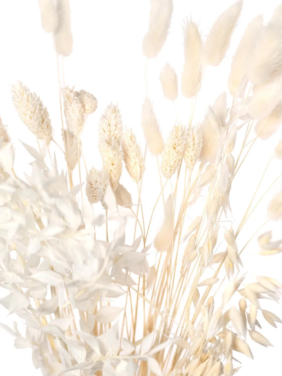 blumigo-trockenblumen-bleached-mix-trockenblumen-gebleicht image 1