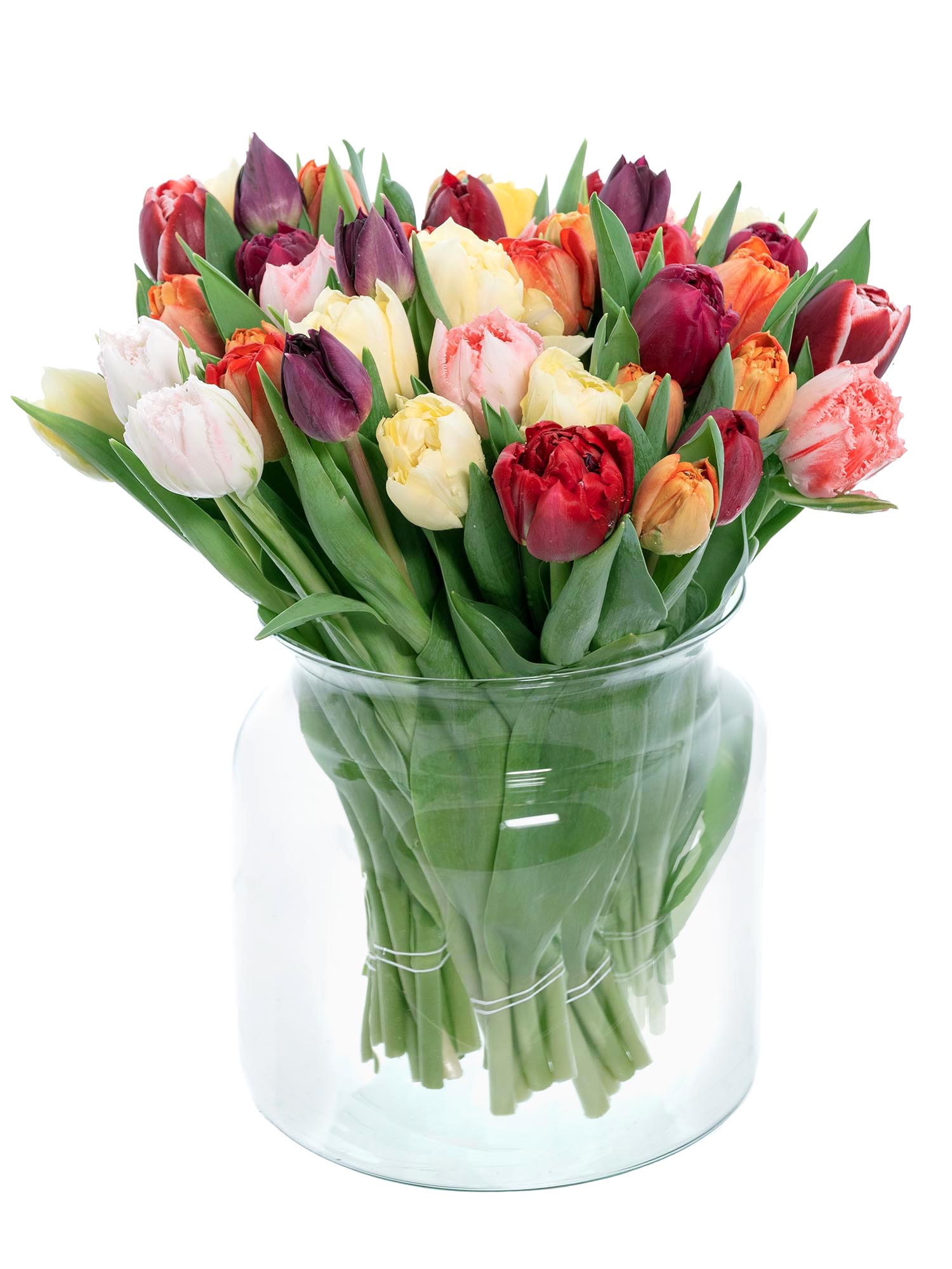 blumigo-berraschungsmixe-50-tulpen-schnittblumen-bunt-gemischt image 2