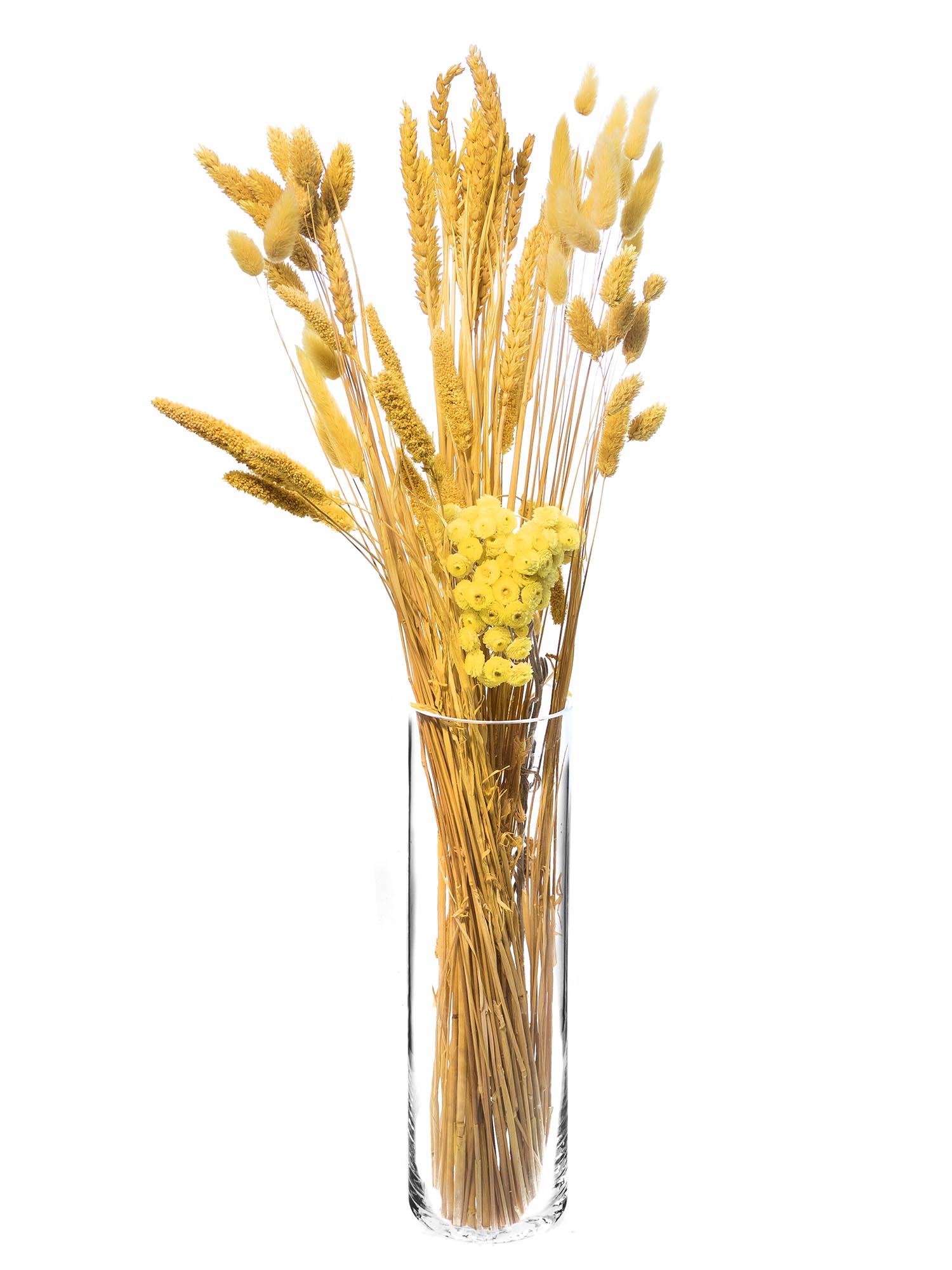 blumigo-trockenblumen-indian-mustard-mix-trockenstrau-gelb image 2