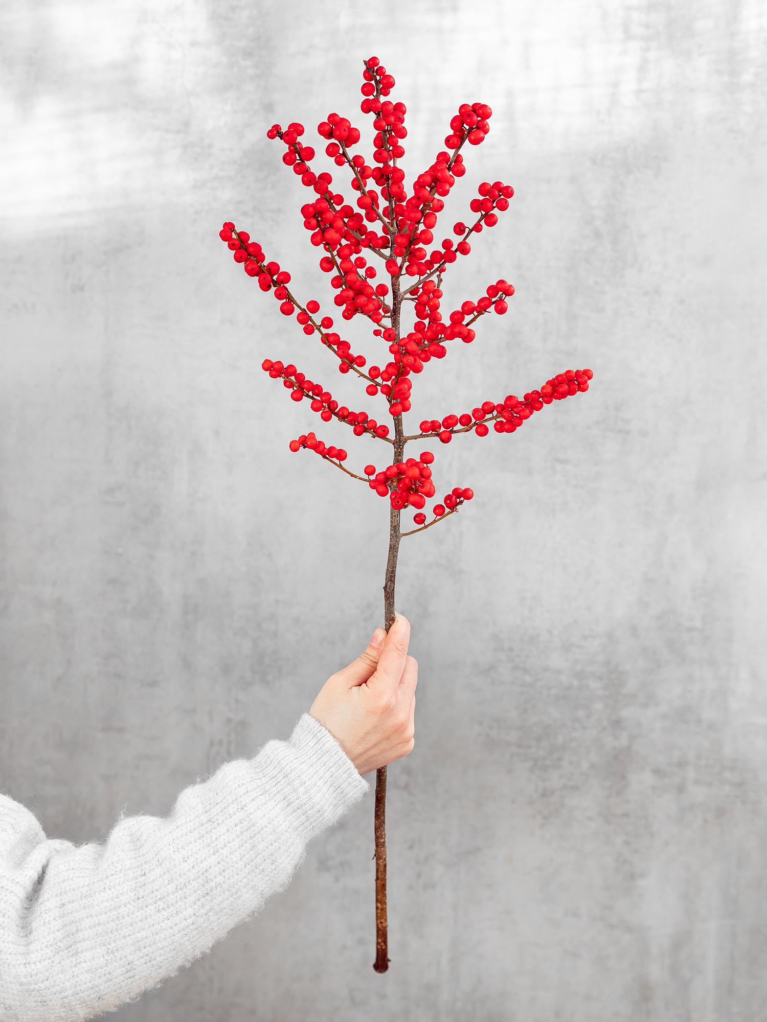 blumigo-ilex-zweige-rot-mit-beeren-stechpalme image 2