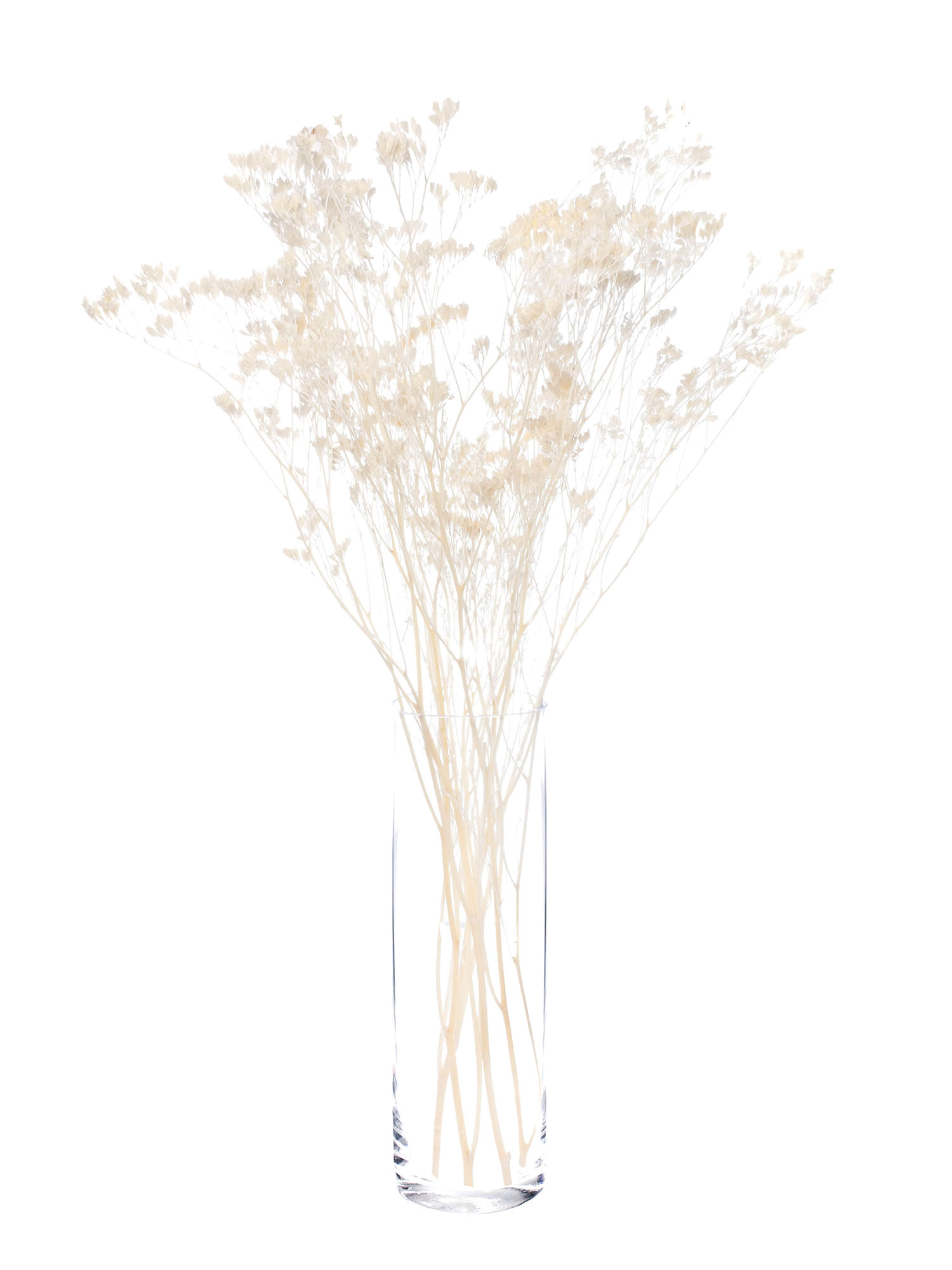 blumigo-trockenblumen-strandflieder-gebleicht-creme-wei image 2