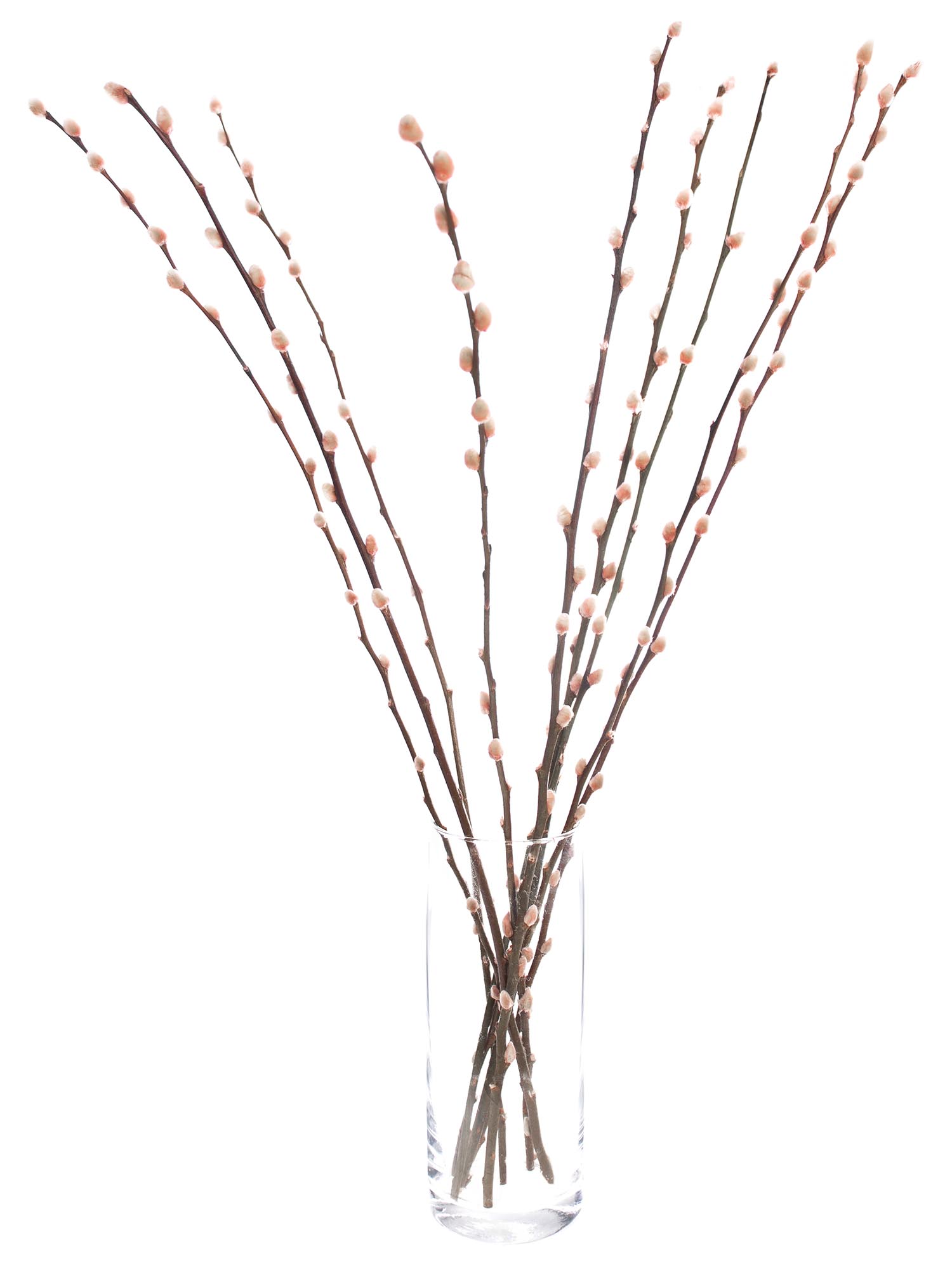 blumigo-zweige-weidenk-tzchen-gef-rbt-rosa-zweigbund image 3