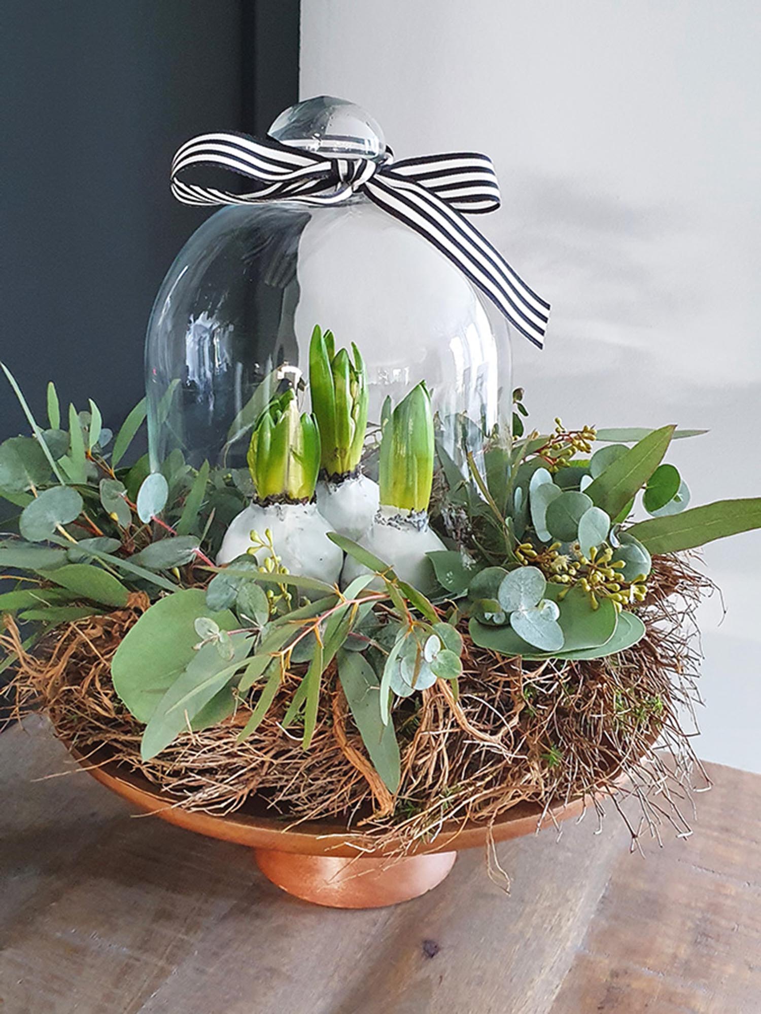 blumigo-euphorbia-spinosa-winterkranz-30-cm-diy-set image 2
