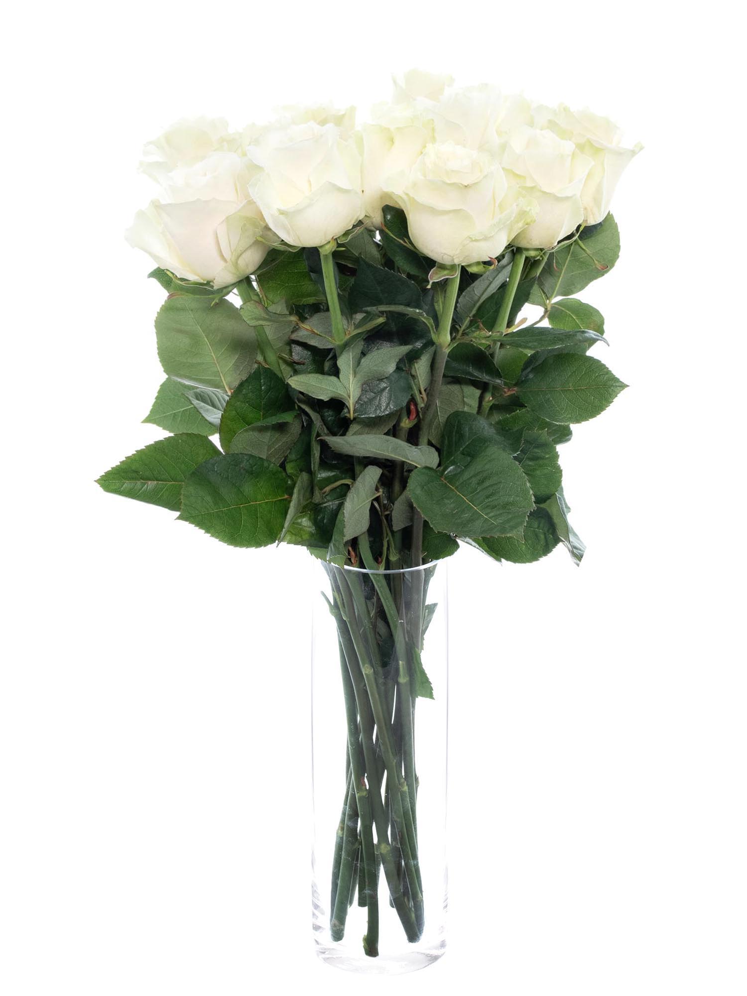 blumigo-rosen-mondial-wei-schnittrosen-frisch image 2
