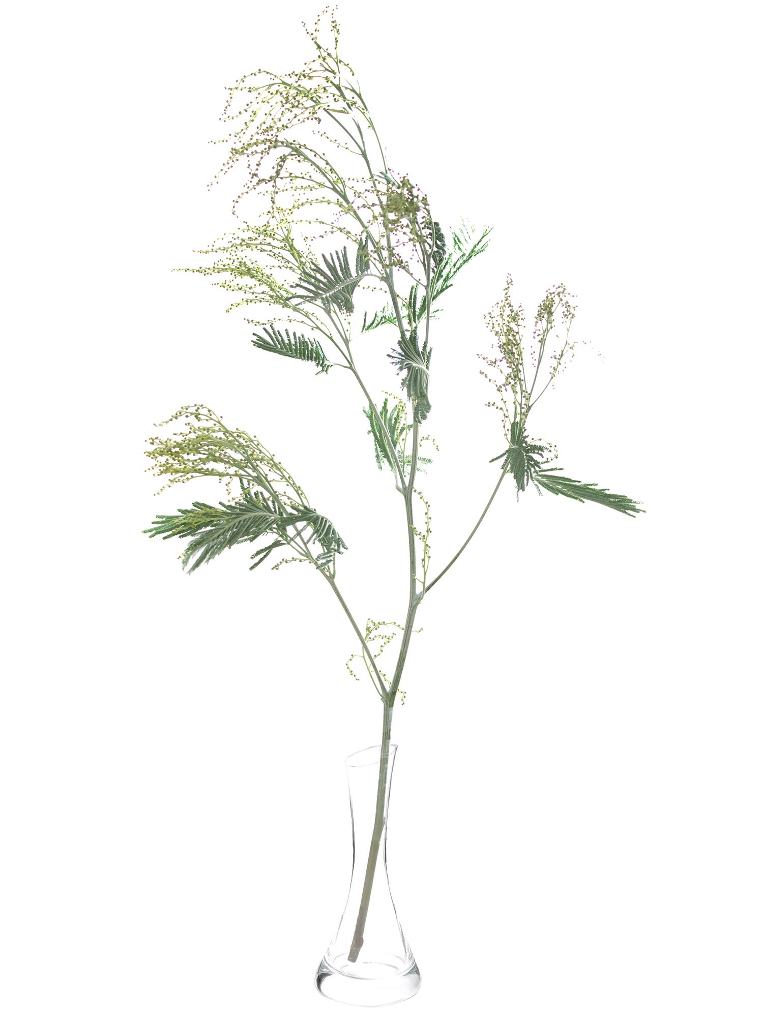 blumigo-exklusives-greenery-mimose-silvermoon-schnittblume-gr-n-silber image 3
