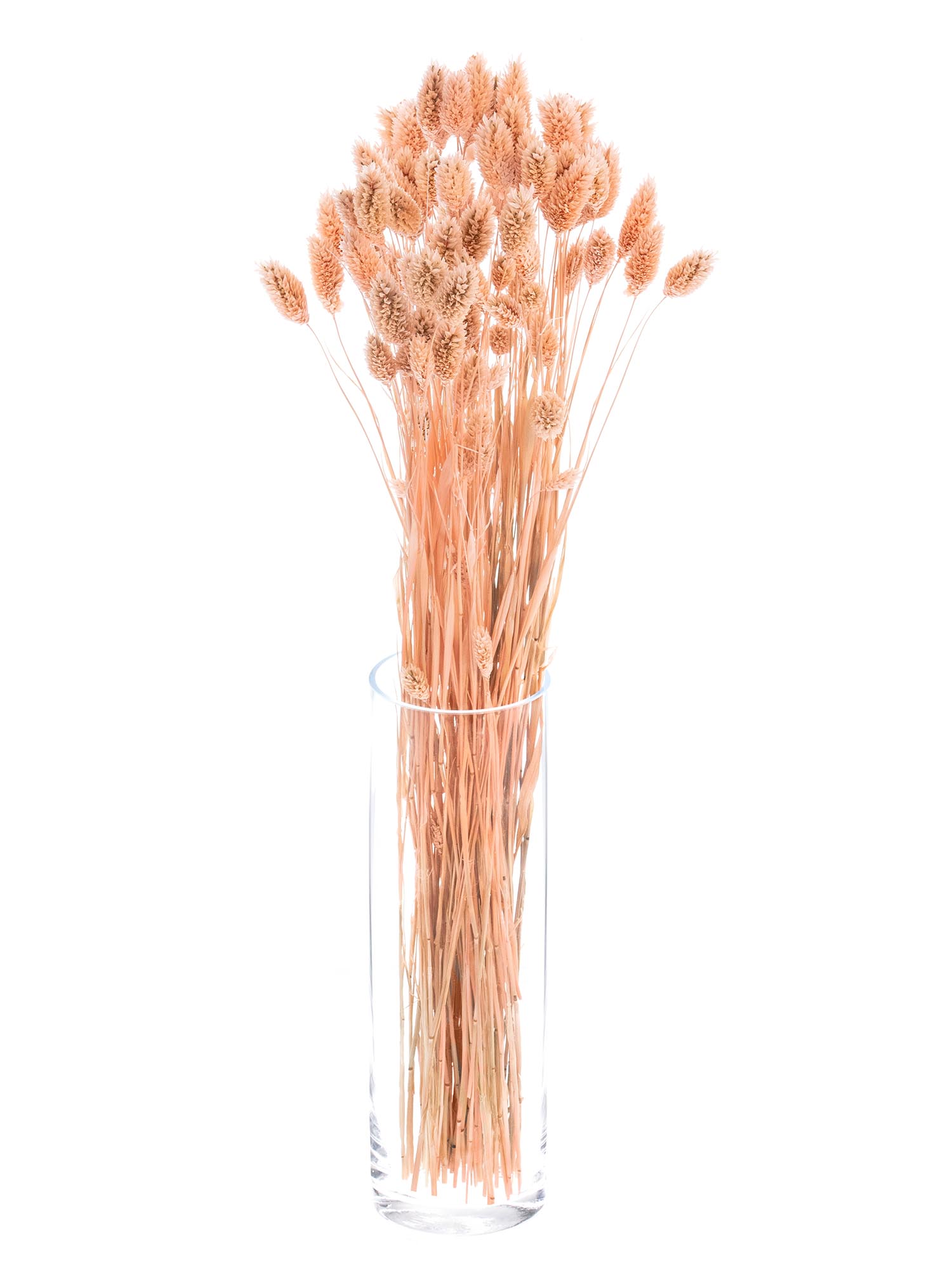 blumigo-trockenblumen-phalaris-glanzgras-apricot-rosa image 2
