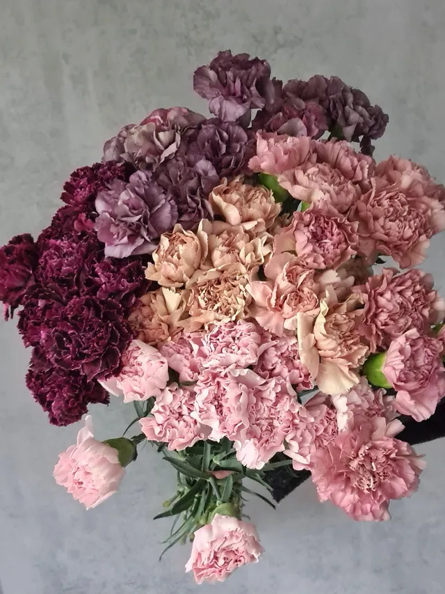blumigo-50-edelnelken-berraschungsmix-schnittblumen-bunt image 1