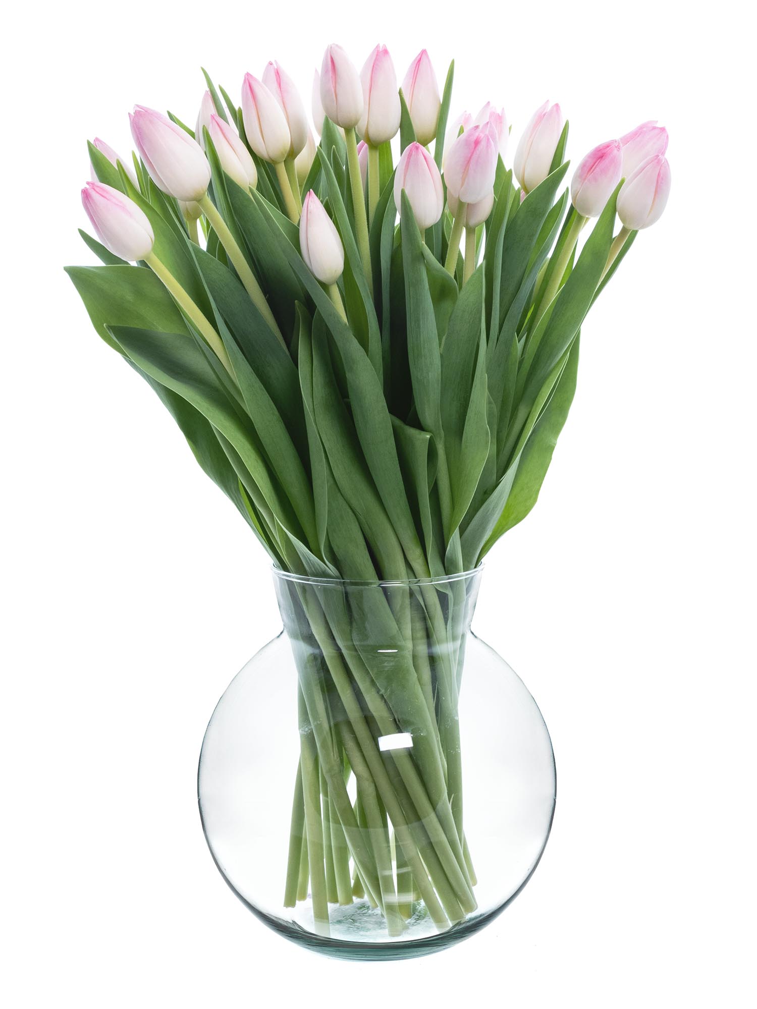 blumigo-kugelvase-iris-glasvase-transparent image 2