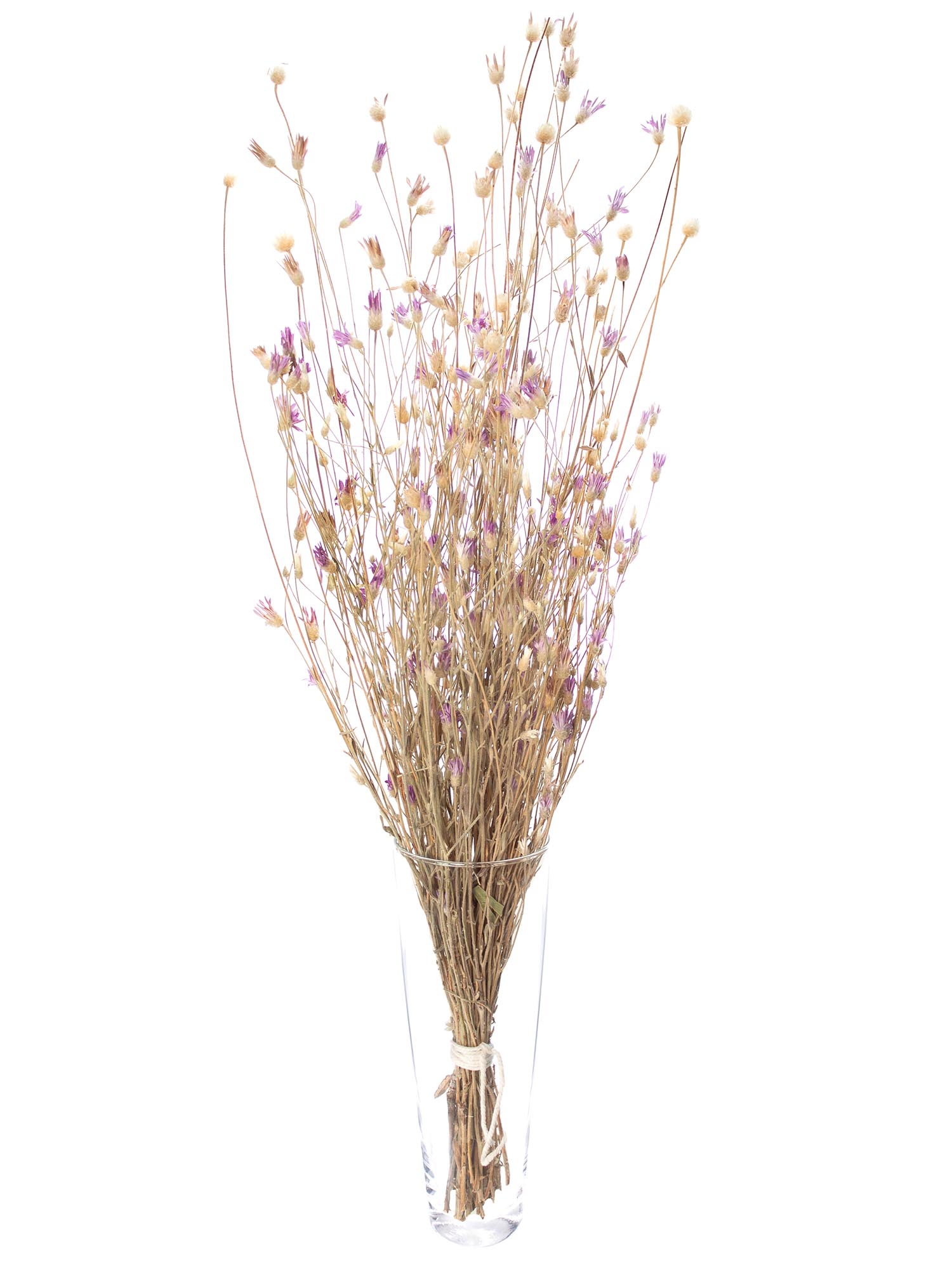 blumigo-trockenblumen-depressa-papyrus-natur-rosa-braun-1-bund image 2