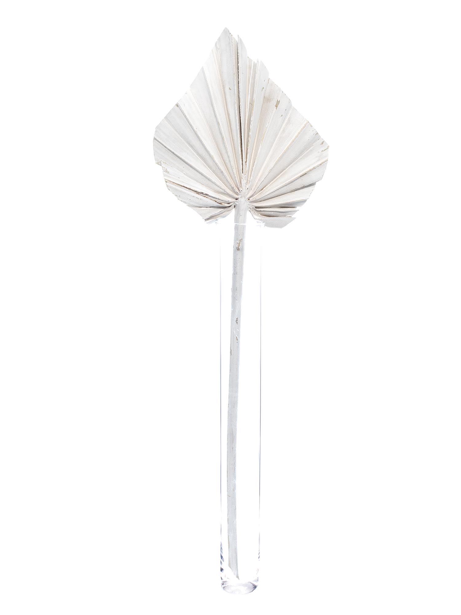 blumigo-trockenblumen-palm-spear-getrocknet-gewei-t-stiel image 4