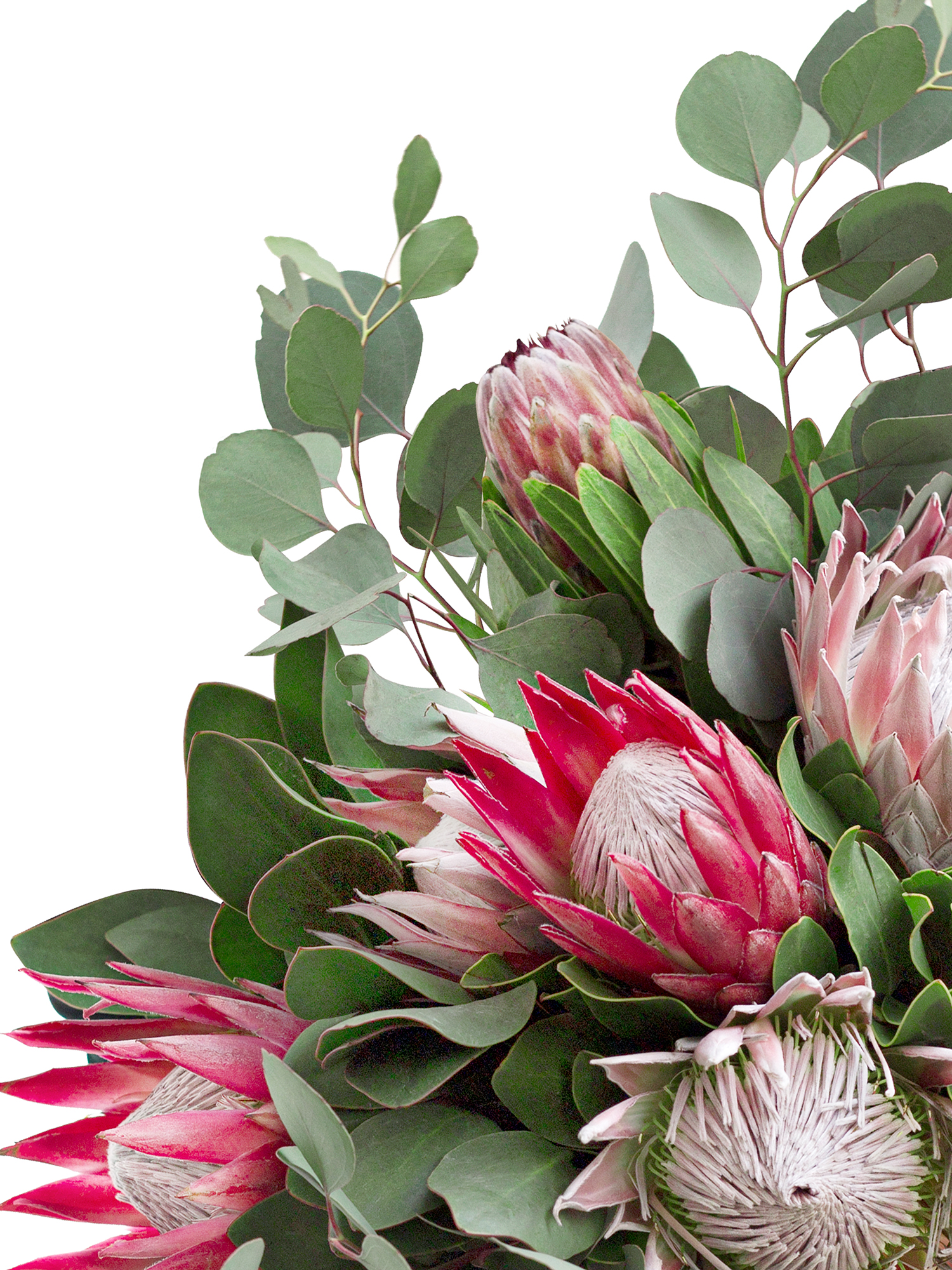 blumigo-berraschungsmixe-embrace-yourself-blumenstrau-frisch image 3