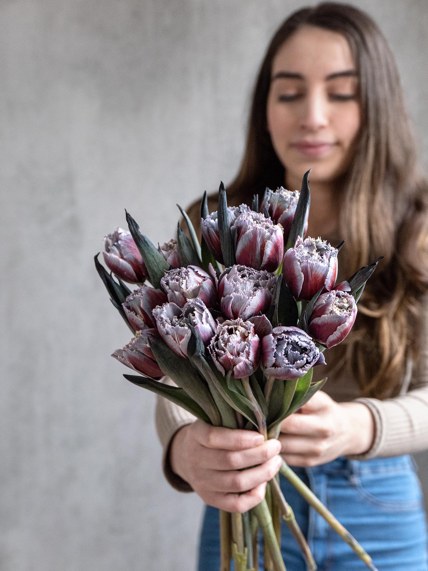blumigo-tulpen-fringed-grey-fire-schnittblume-grau-rot-gefranst image 5