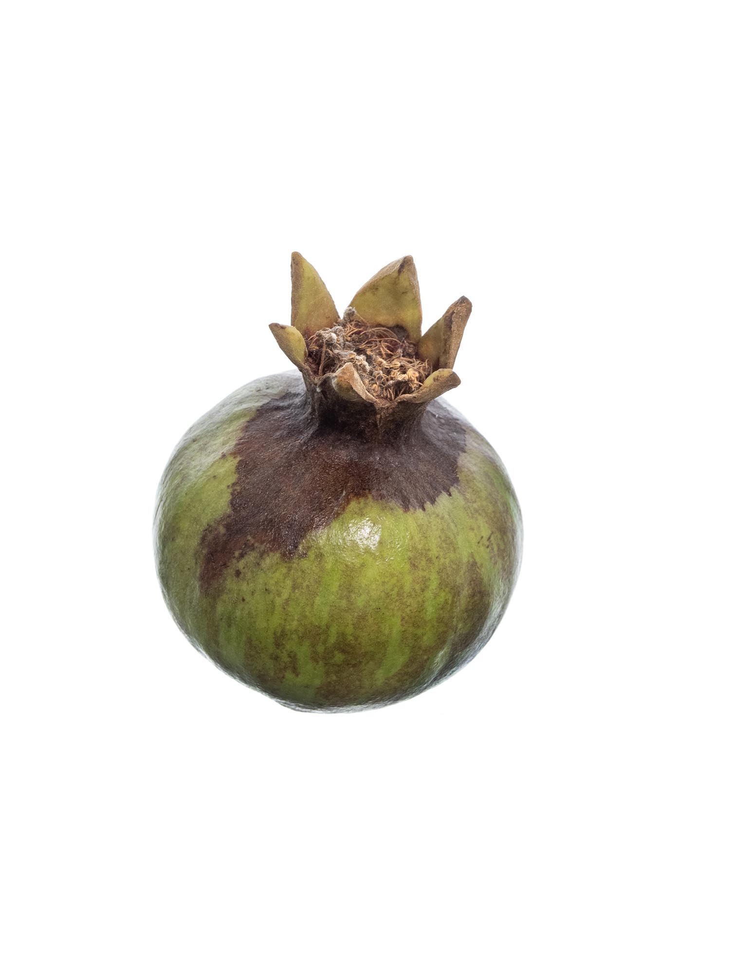 blumigo-blattwerk-zierfr-chte-granat-pfel-bindegr-n-gr-n image 2