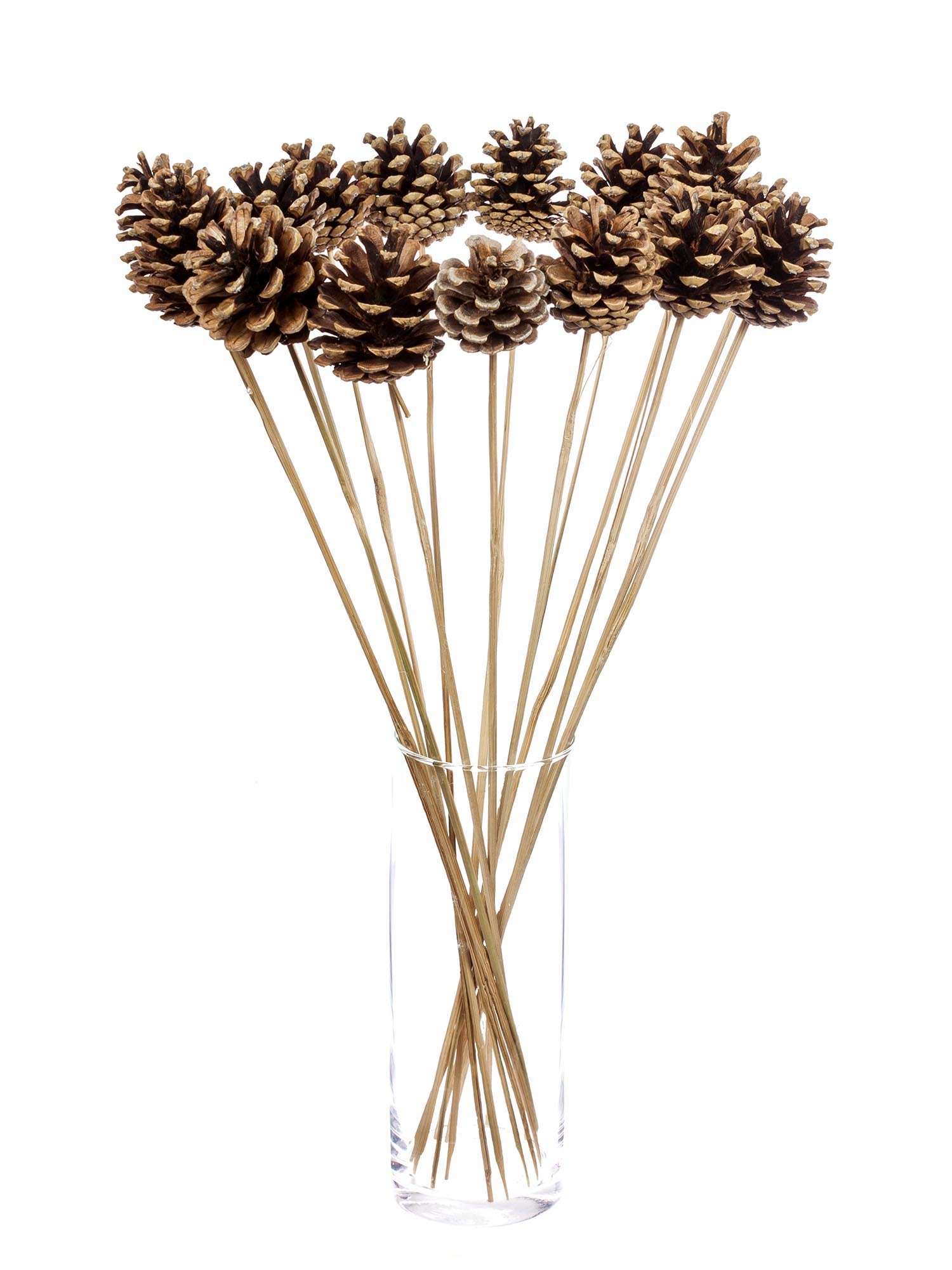 blumigo-herbstdeko-zapfen-am-stab-natur-dekostecker image 2