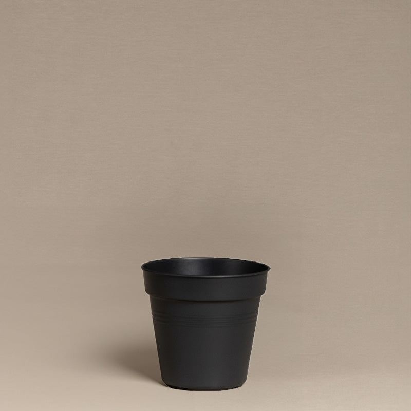 feey-amsterdam-innentopf-10-5-cm-kunststoff-umtopfen image 3