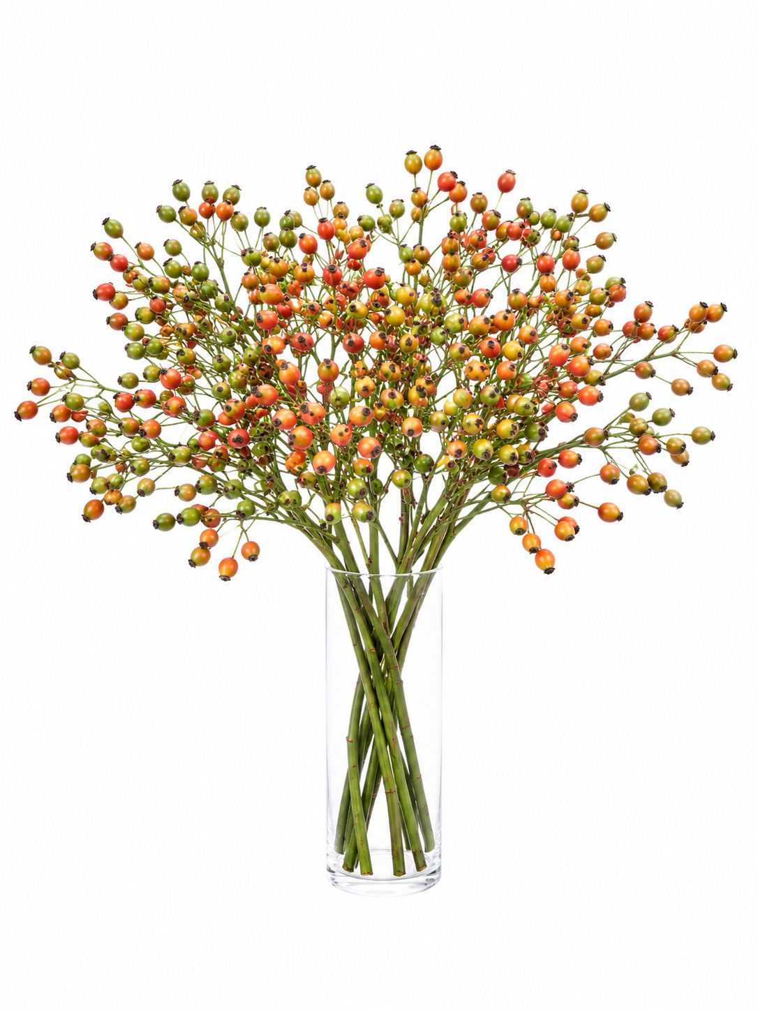 blumigo-herbstdeko-plenty-hagebutte-gr-n-orange image 2