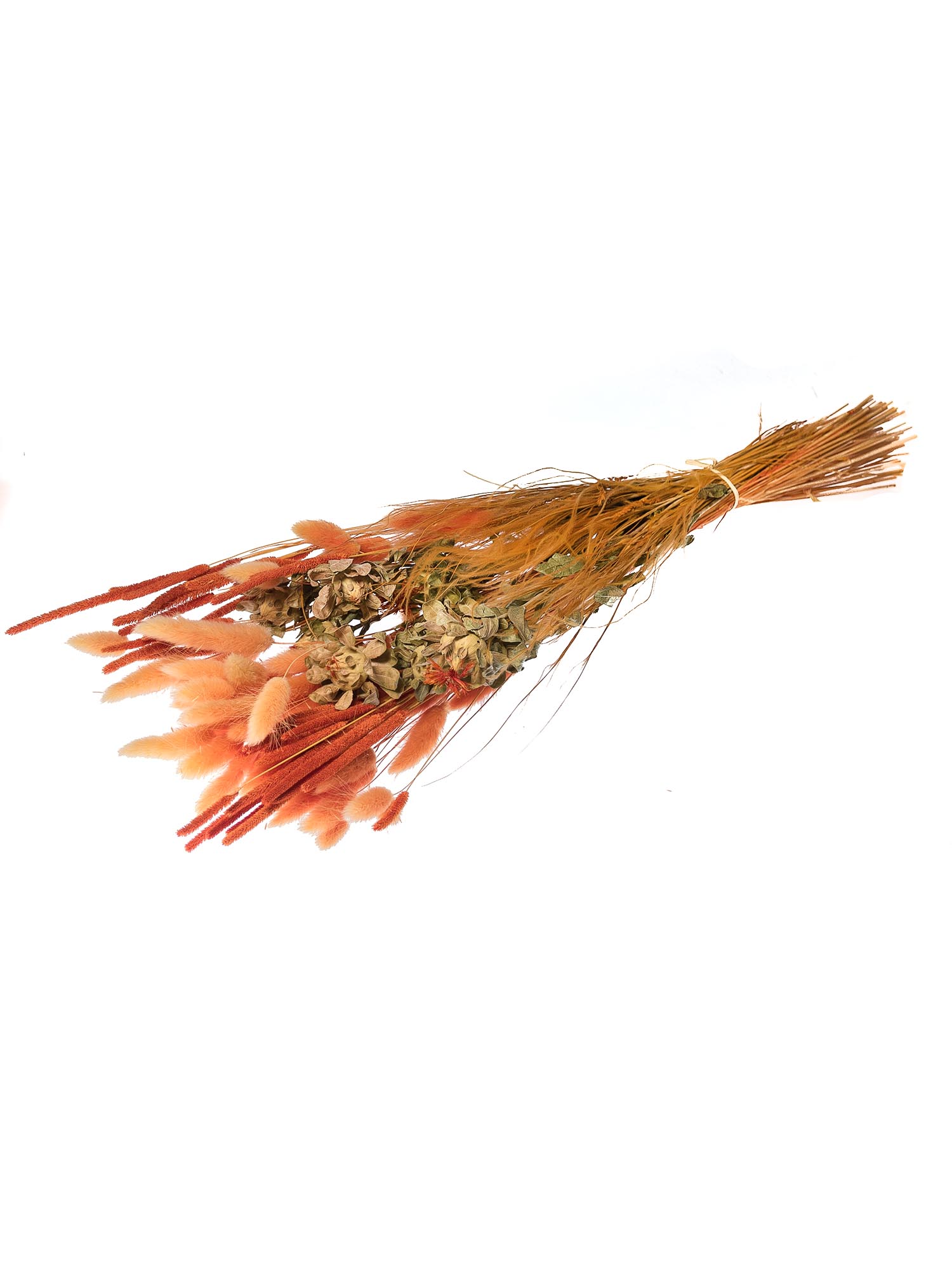 blumigo-trockenblumen-color-candy-mix-orange-trockenstrauss image 3