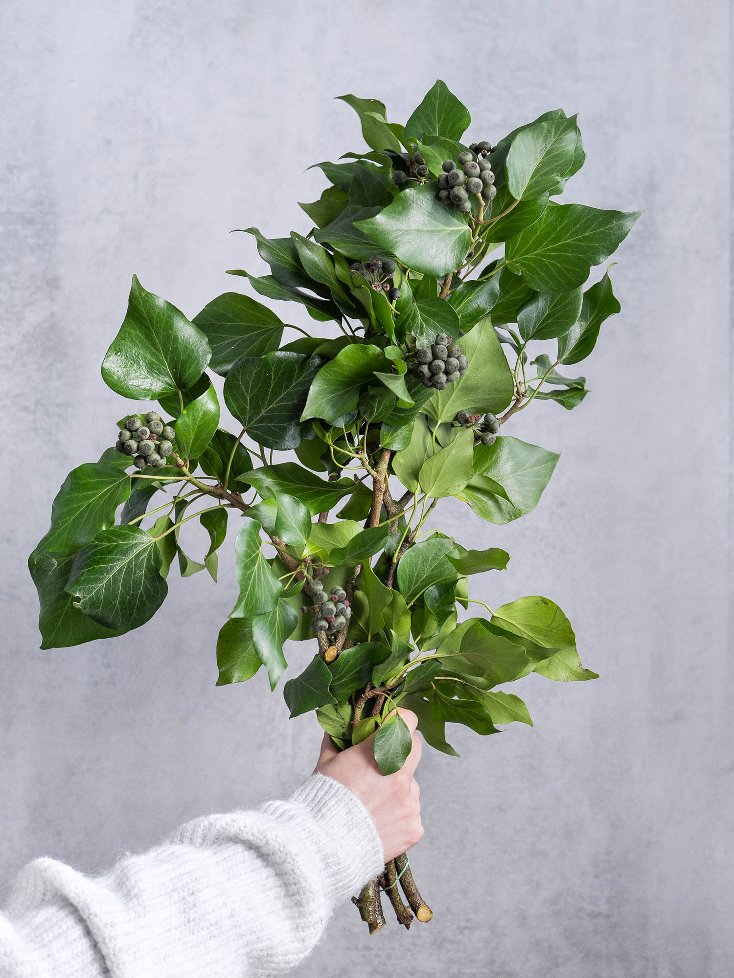 blumigo-blattwerk-efeu-mit-beeren-bindegr-n-frischgr-n image 1