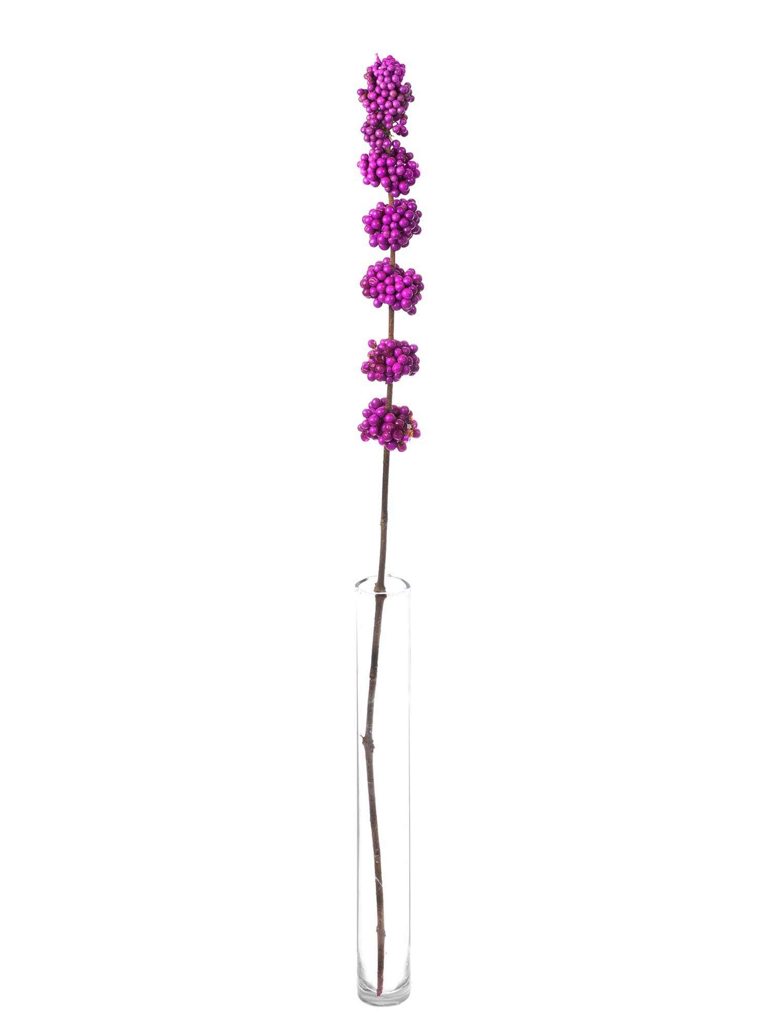 blumigo-zweige-callicarpa-liebesperlen-schnittzweig-violett image 6