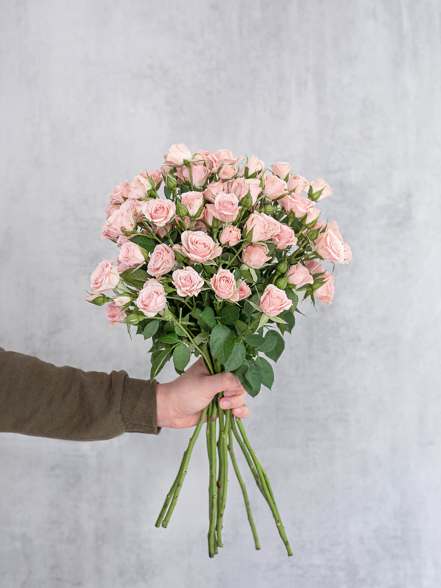 blumigo-rosen-lydia-verzweigt-rosa-bund image 2