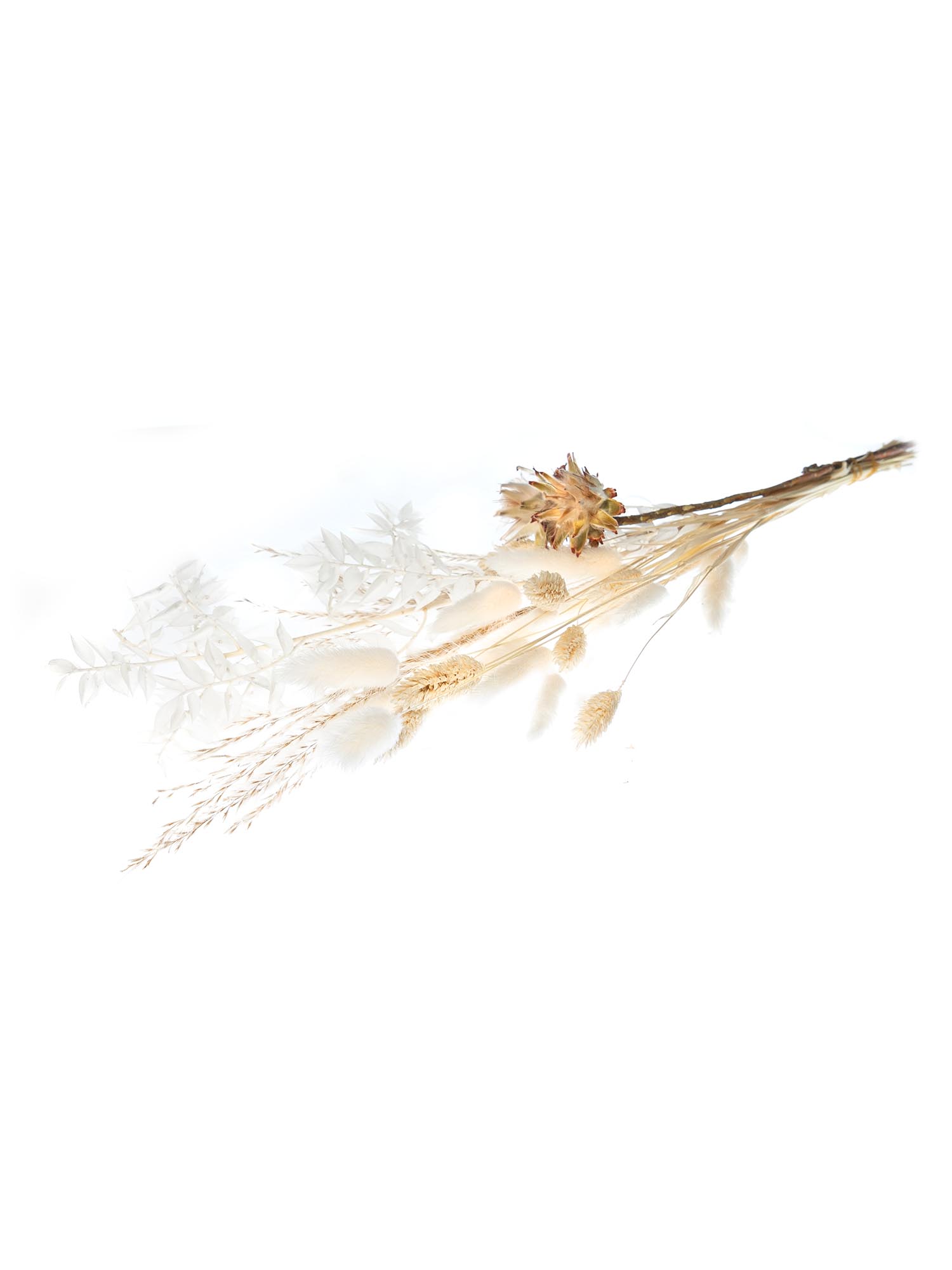 blumigo-trockenblumen-mini-mix-creme-wei-deko image 3