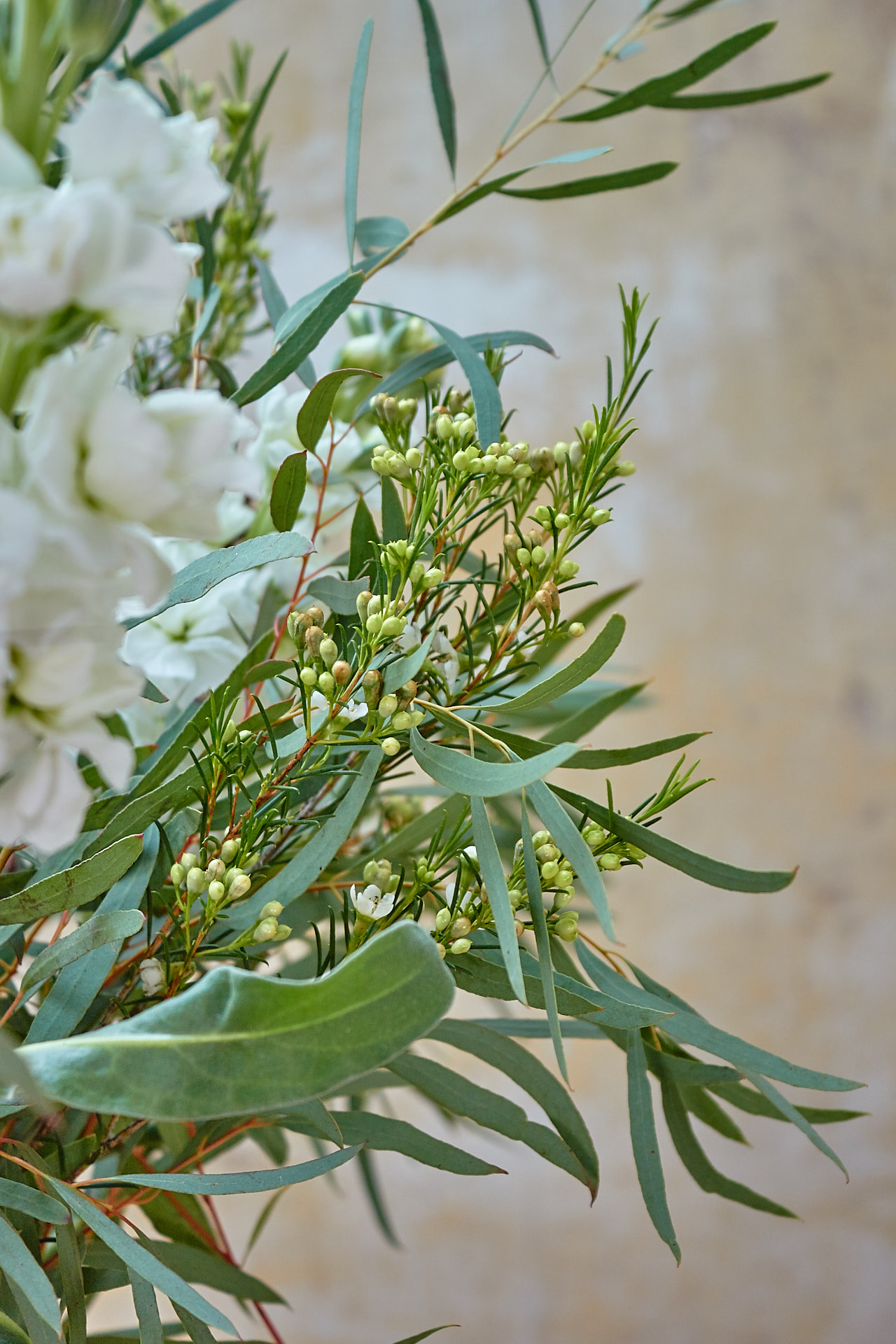 blumigo-berraschungsmixe-green-explosion-bouquet-blumenstrau-gr-n image 5
