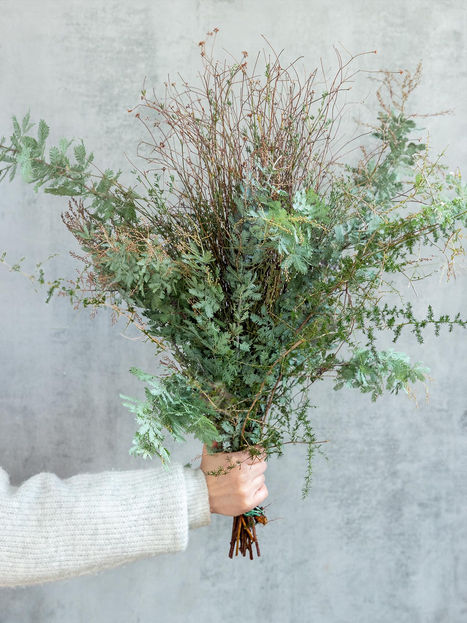 blumigo-asparagus-mimose-meets-asparagus-greenery-bund image 1