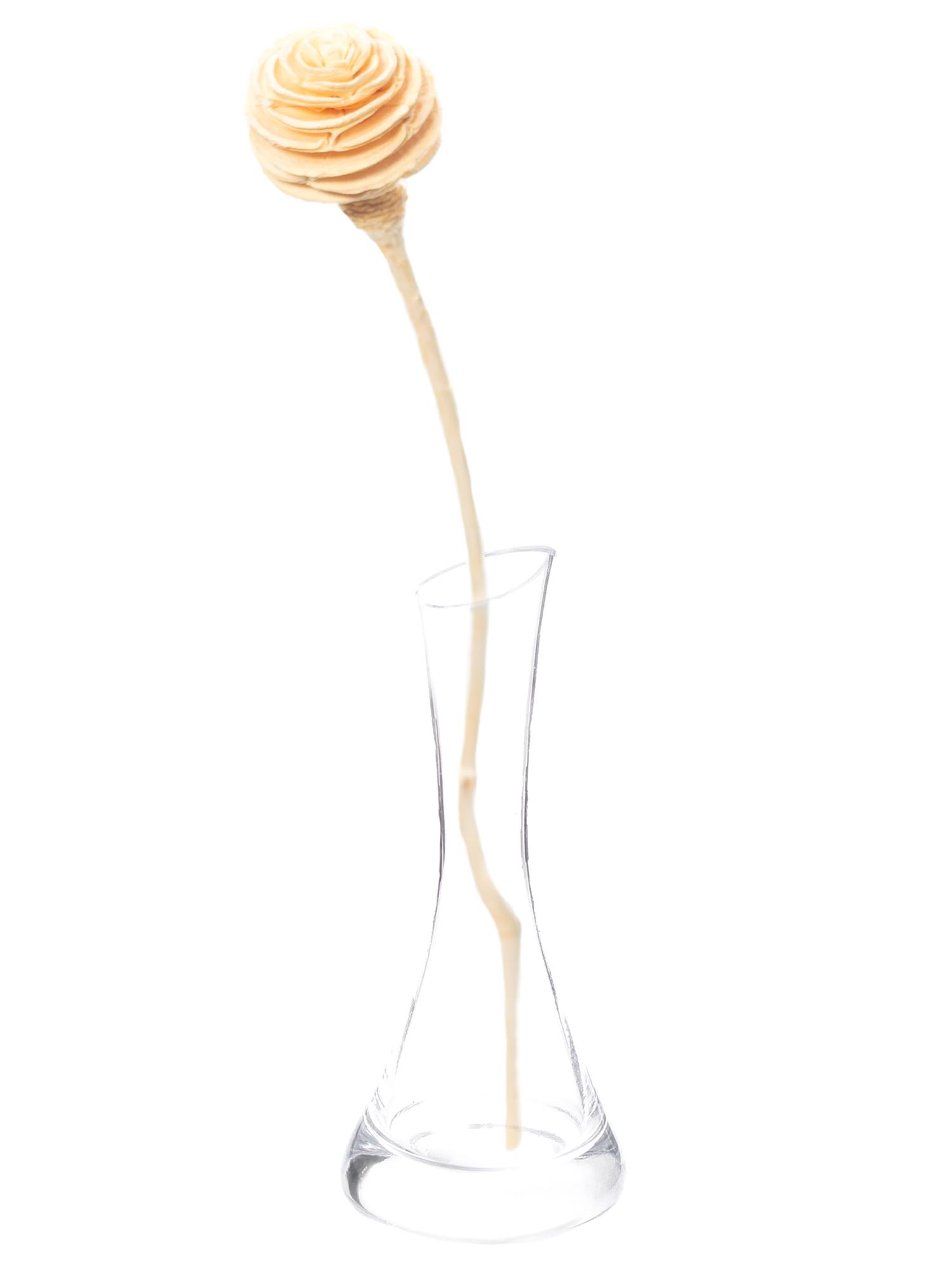 blumigo-trockenblumen-leucadendron-platyspermum-wei-creme-1-bund image 3