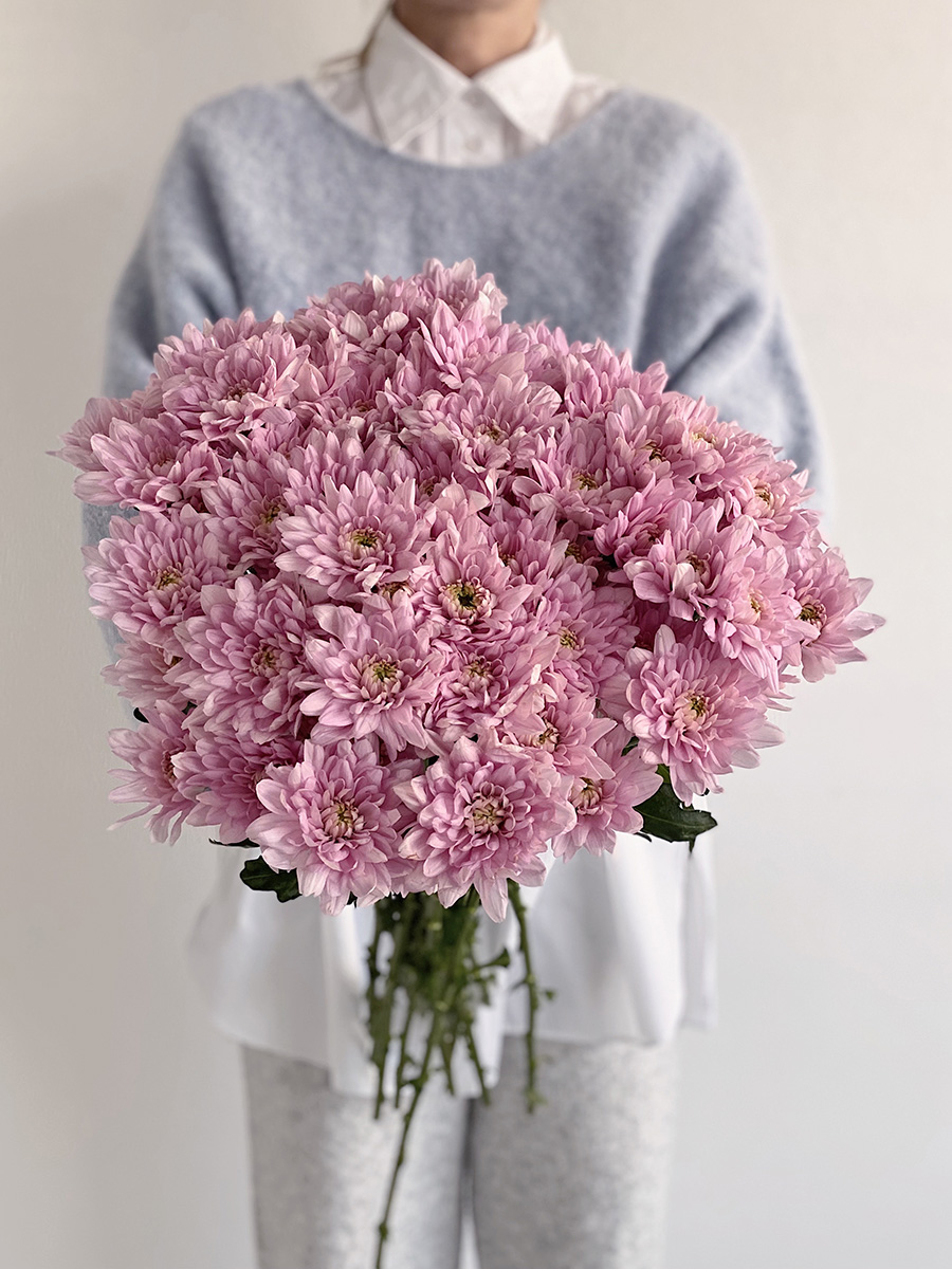 blumigo-chrysanthemen-baltica-pink-schnittblumen-rosa-verzweigt image 4