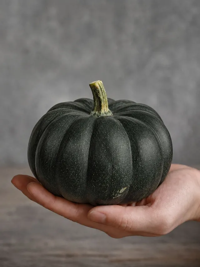 blumigo-herbstdeko-zierk-rbis-black-kat-schwarz-gr-n image 1