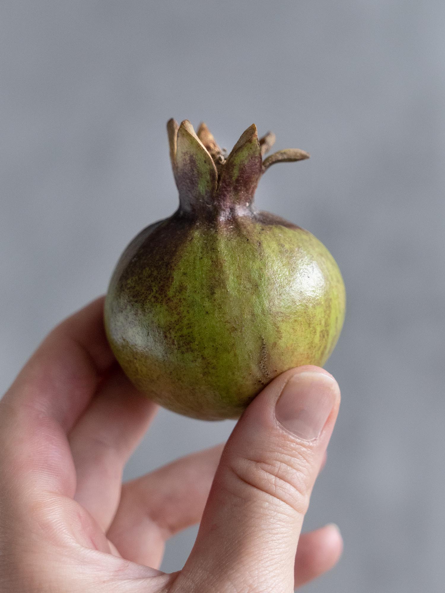 blumigo-blattwerk-zierfr-chte-granat-pfel-bindegr-n-gr-n image 1