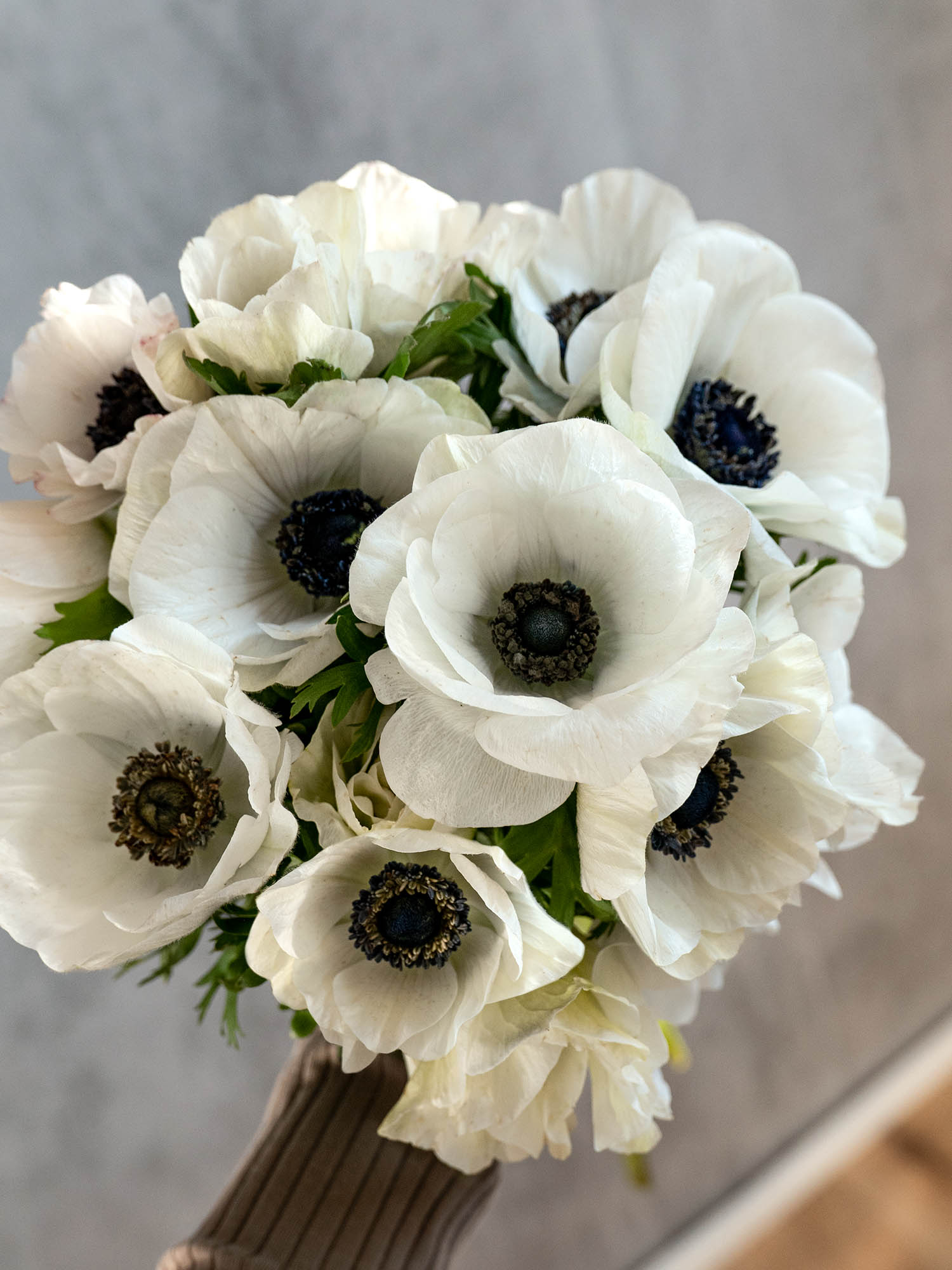 blumigo-anemonen-schnittblumen-wei-frisch image 5