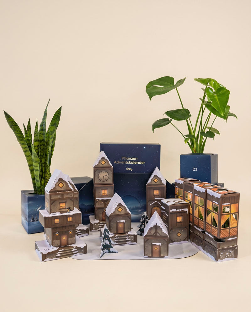 feey-variado-adventskalender-winterdorf-zimmerpflanzen image 3