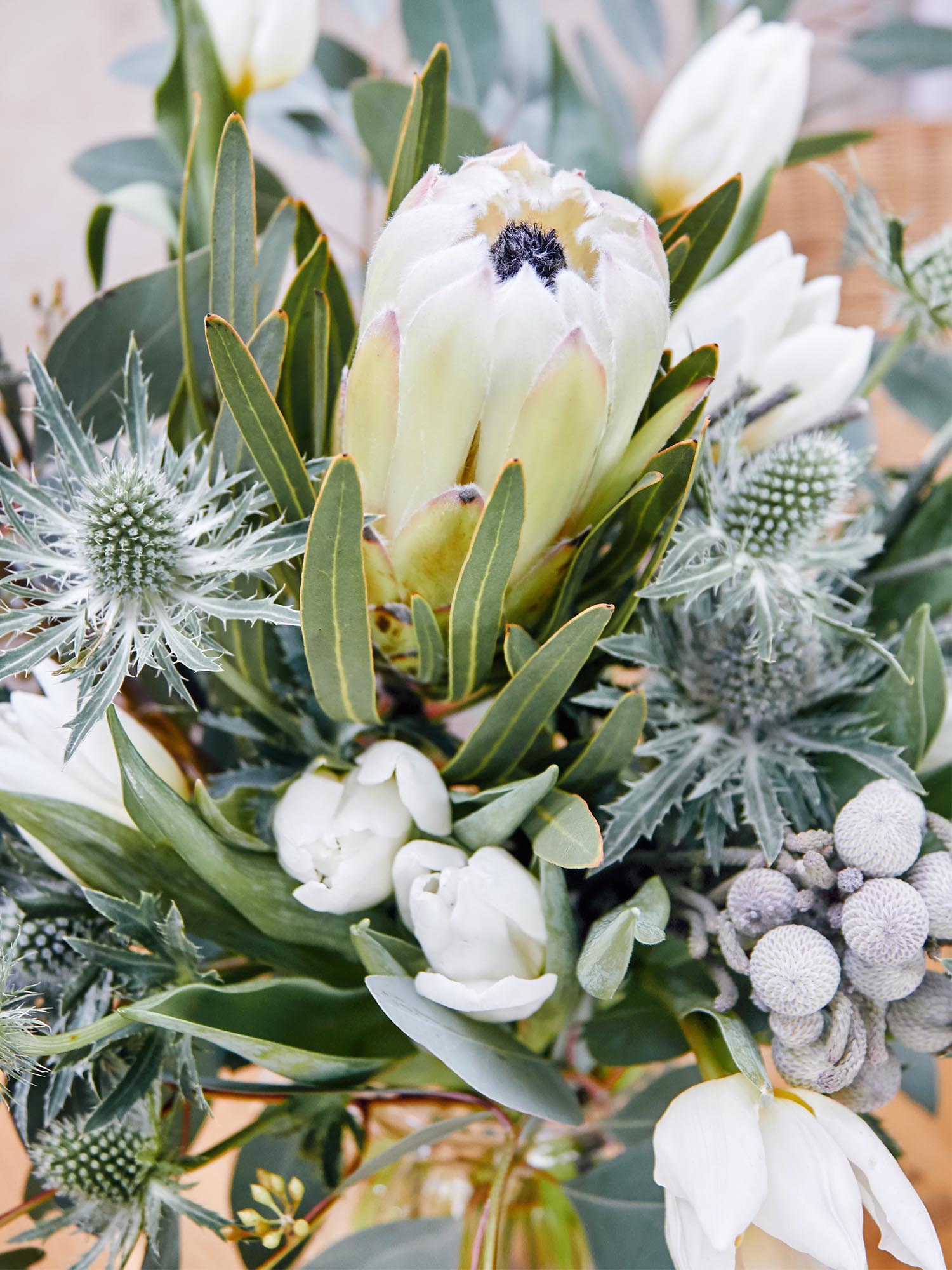 blumigo-proteen-south-african-spring-bouquet-strau-protea image 4