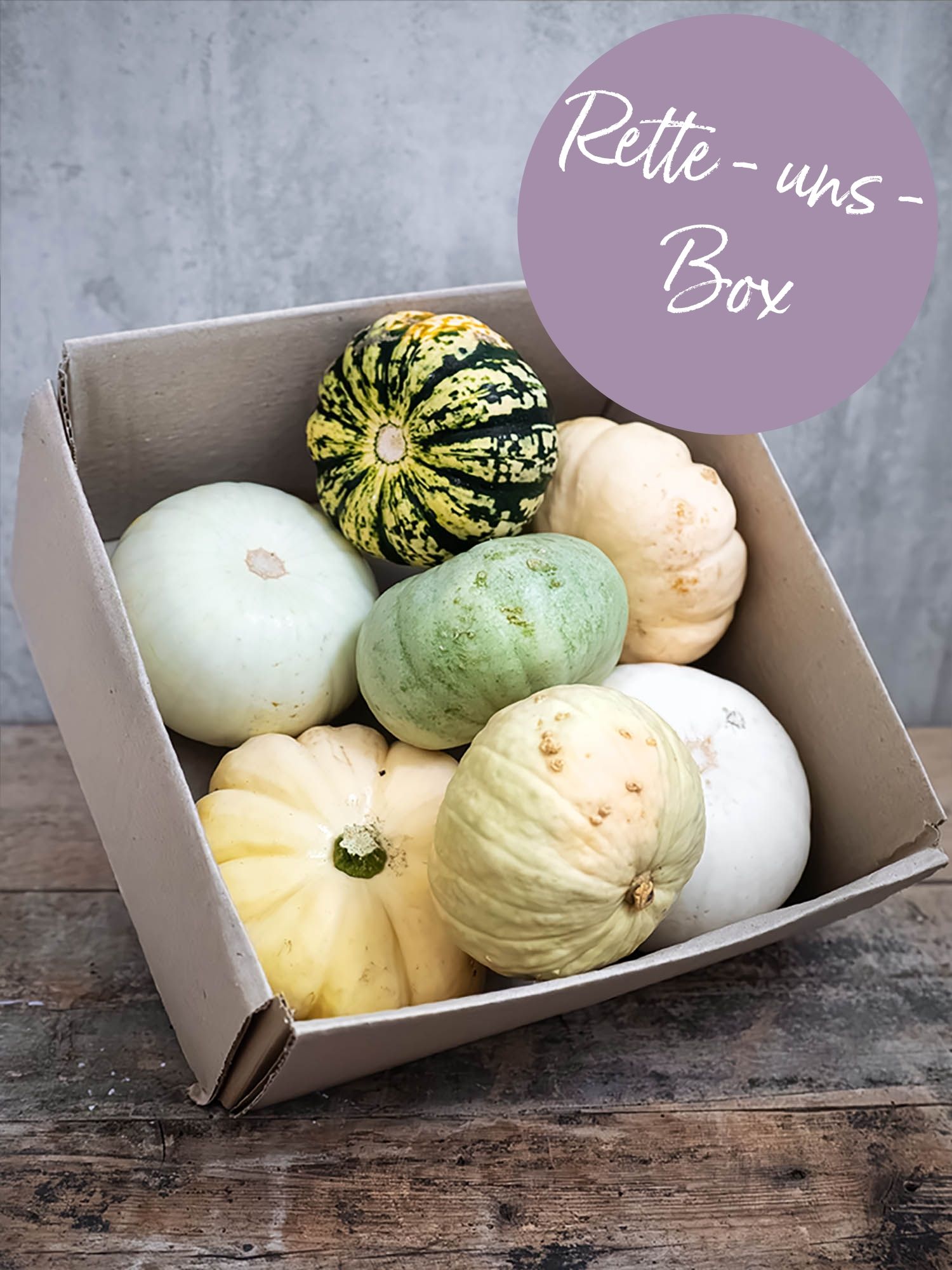 blumigo-berraschungsmixe-rette-uns-k-rbisbox-blumenbox image 1
