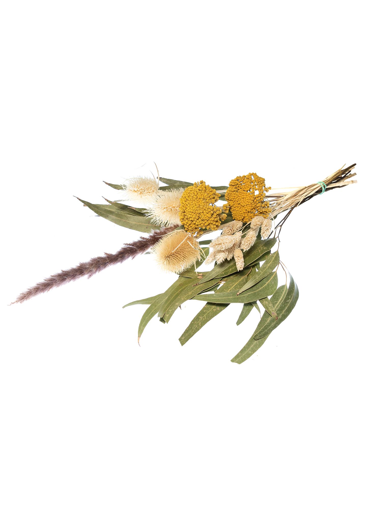 blumigo-trockenblumen-mini-mix-gr-n-gelb image 3