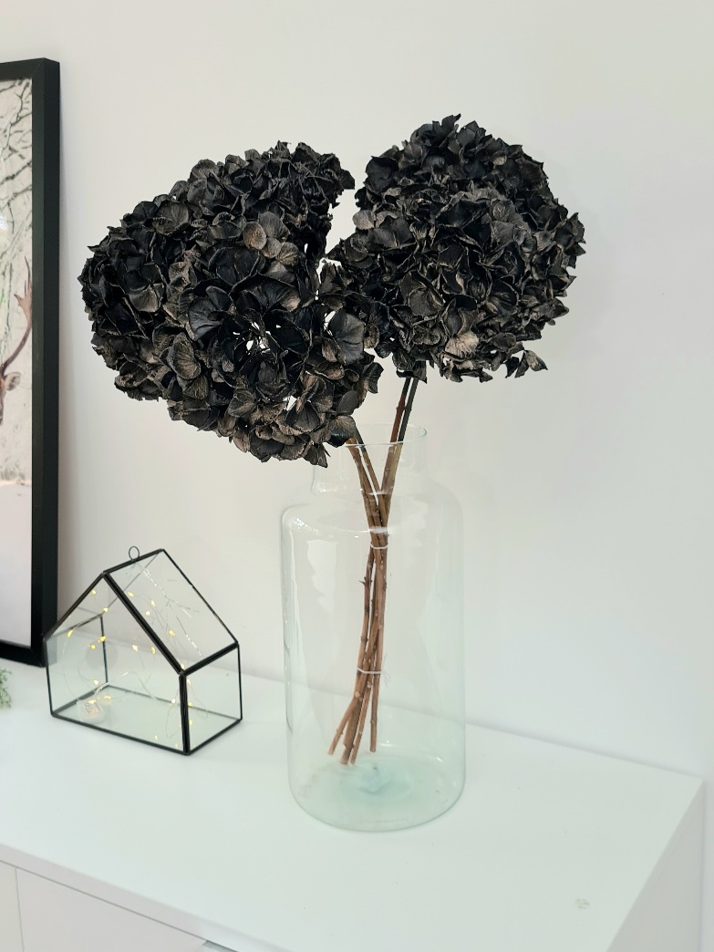 blumigo-hortensie-trockenblume-schwarz-getrocknet image 1